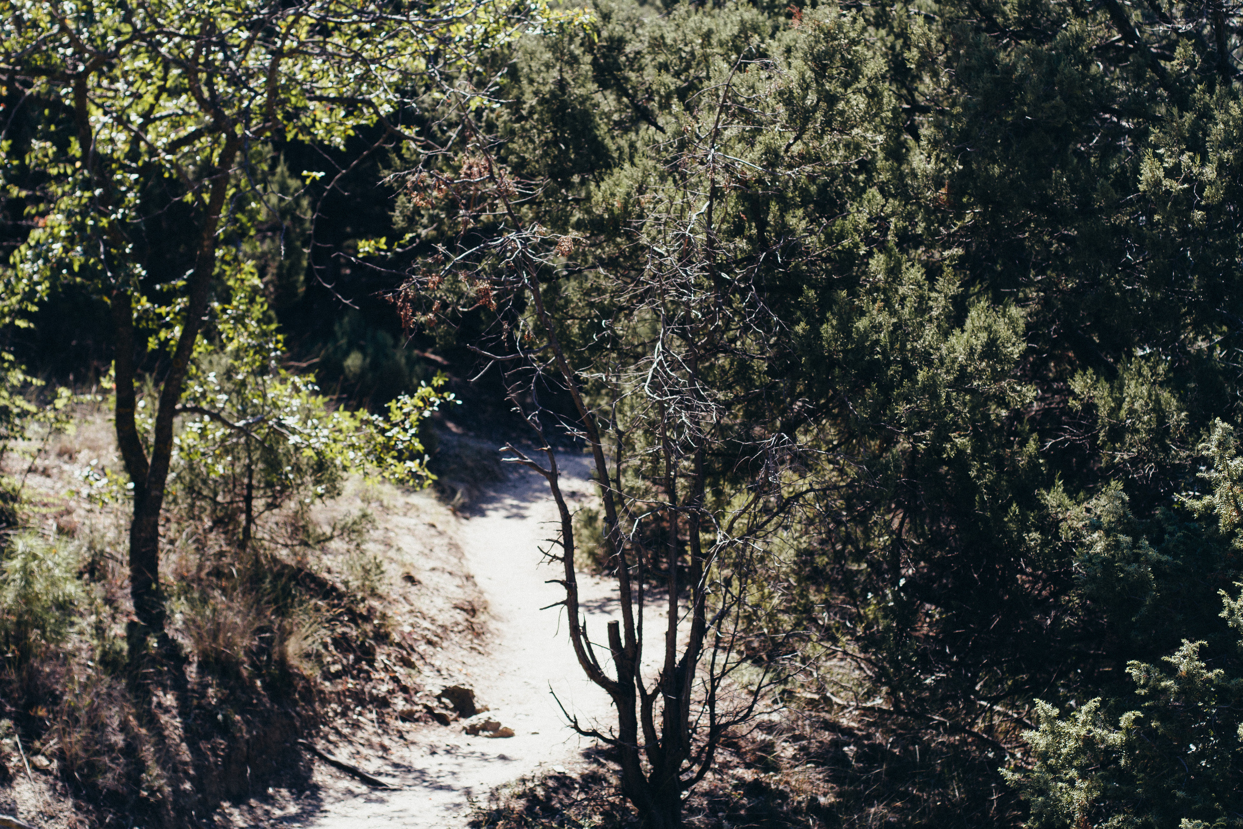 Проводы лета 2021 на мысе АЯ. Фотограф Антон Катунин | Симферополь