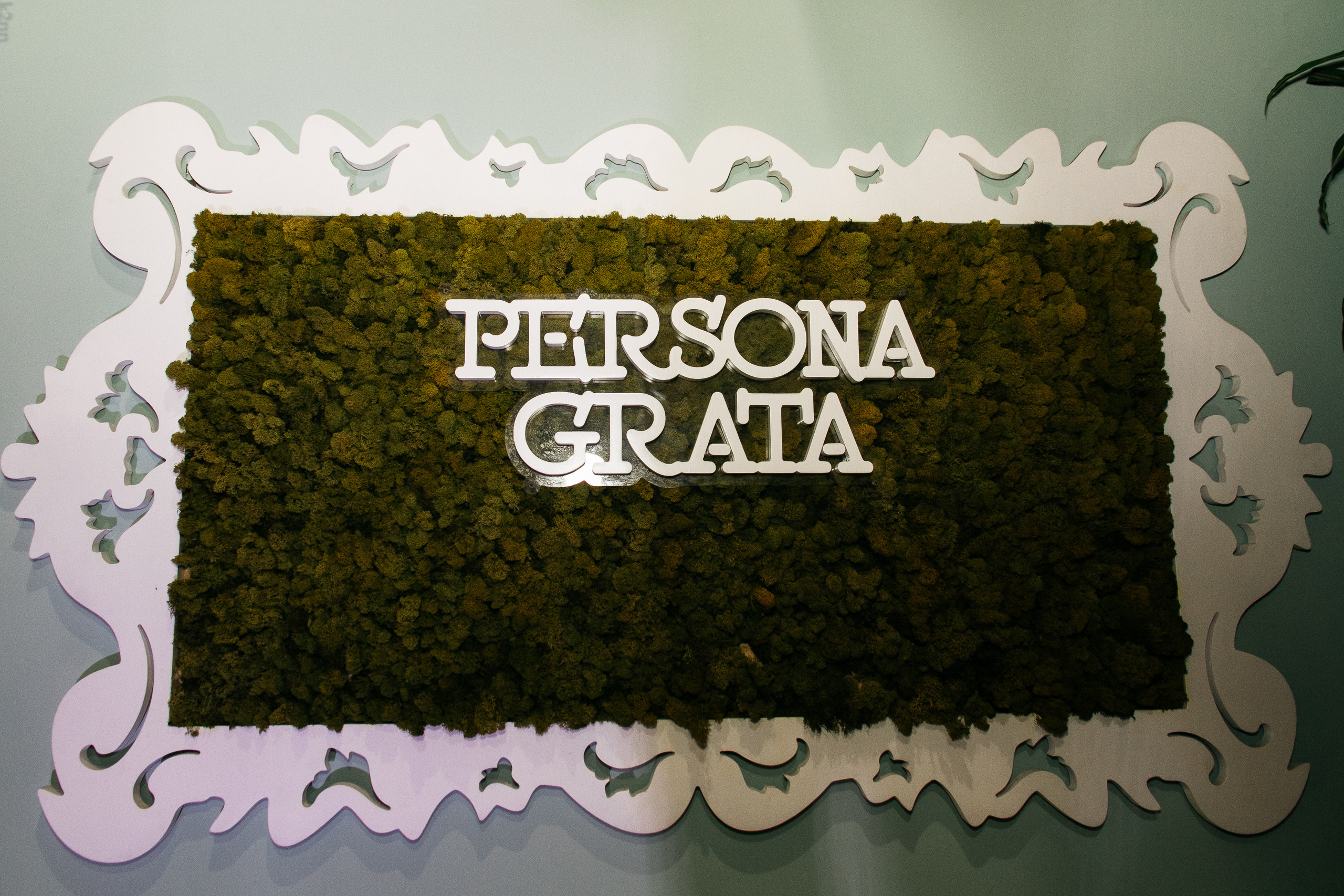 21 ноября 2017 | PERSONA #настиле. Фотограф Антон Катунин | Симферополь