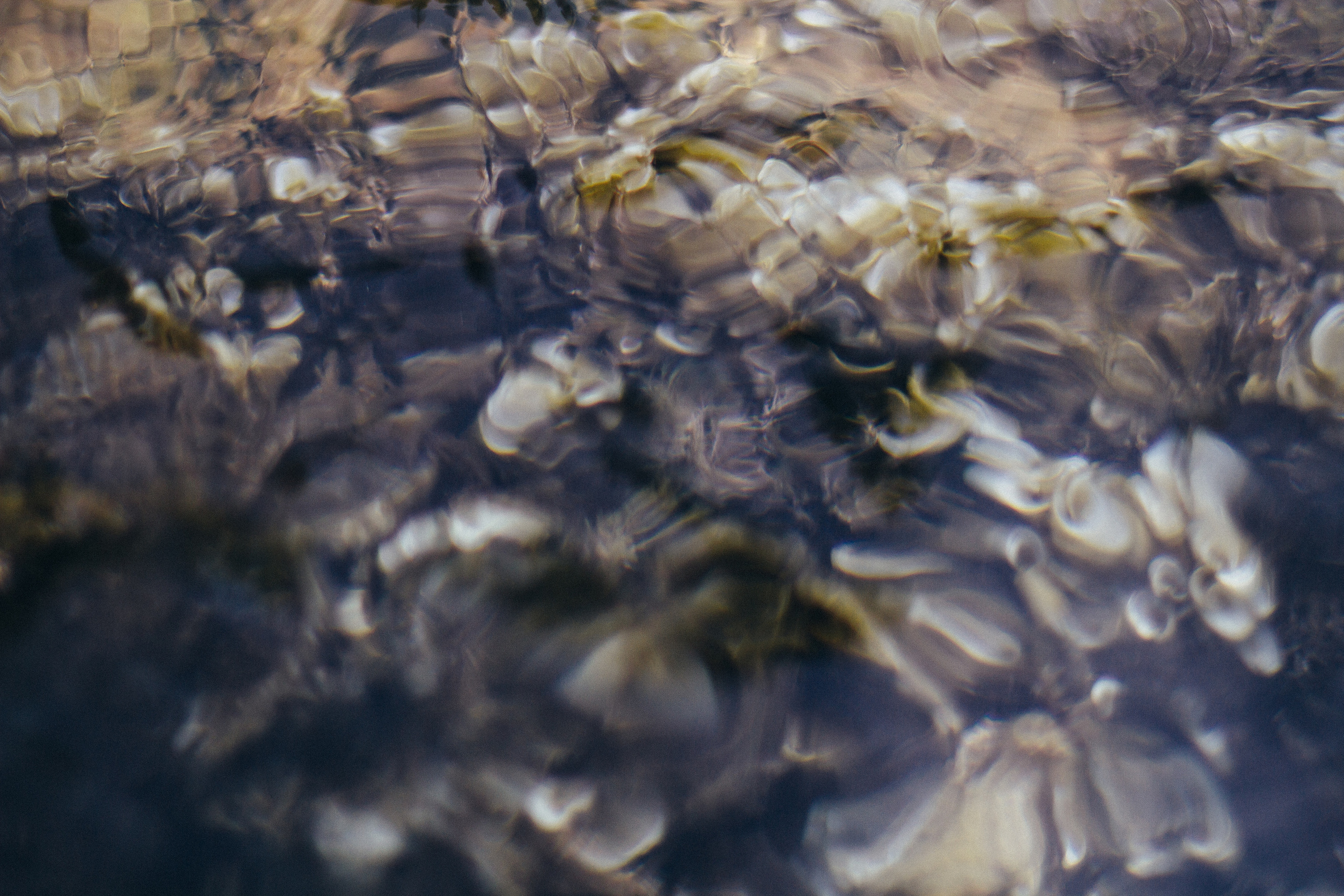 Проводы лета 2021 на мысе АЯ. Фотограф Антон Катунин | Симферополь