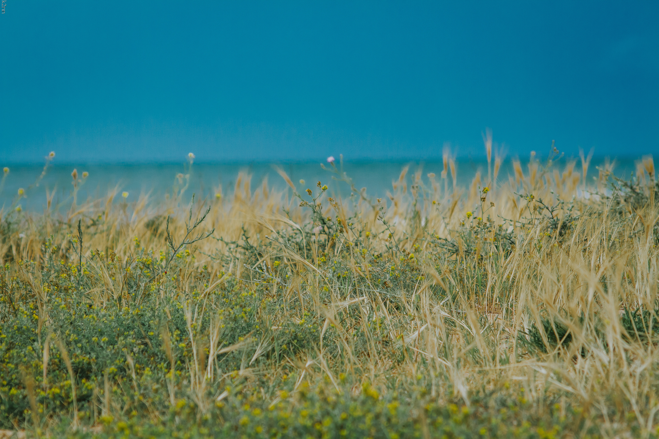 Каякинг вдоль мыса Казантип и Генеральских пляжей. Фотограф Антон Катунин | Симферополь