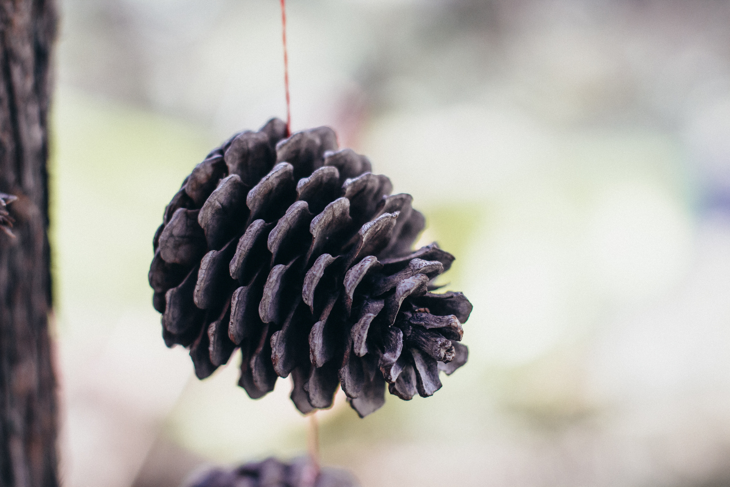 Проводы лета 2021 на мысе АЯ. Фотограф Антон Катунин | Симферополь