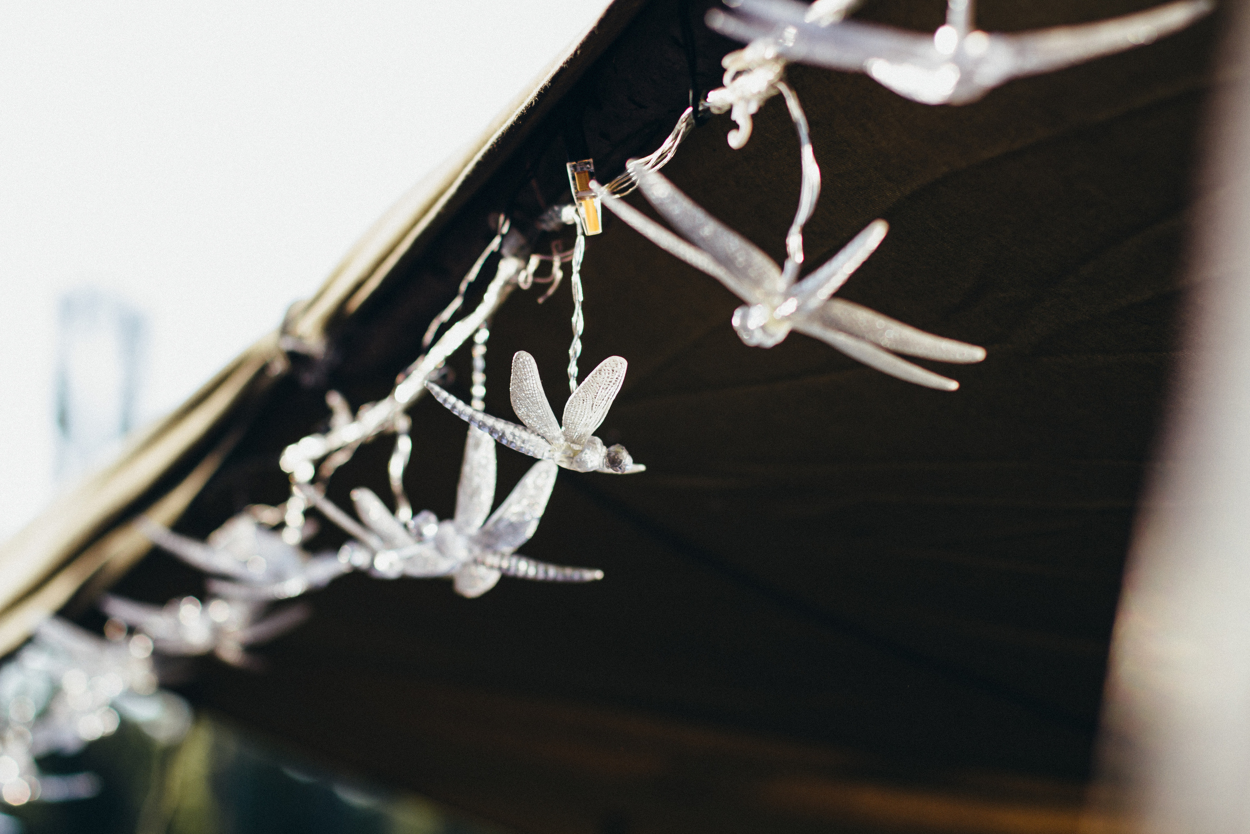 Бельбекская ярмарка. Фотограф Антон Катунин | Симферополь