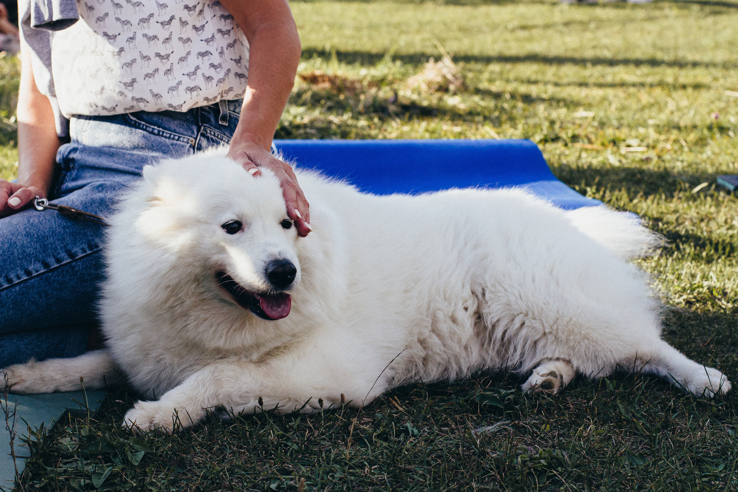 Бельбекская ярмарка. Фотограф Антон Катунин | Симферополь