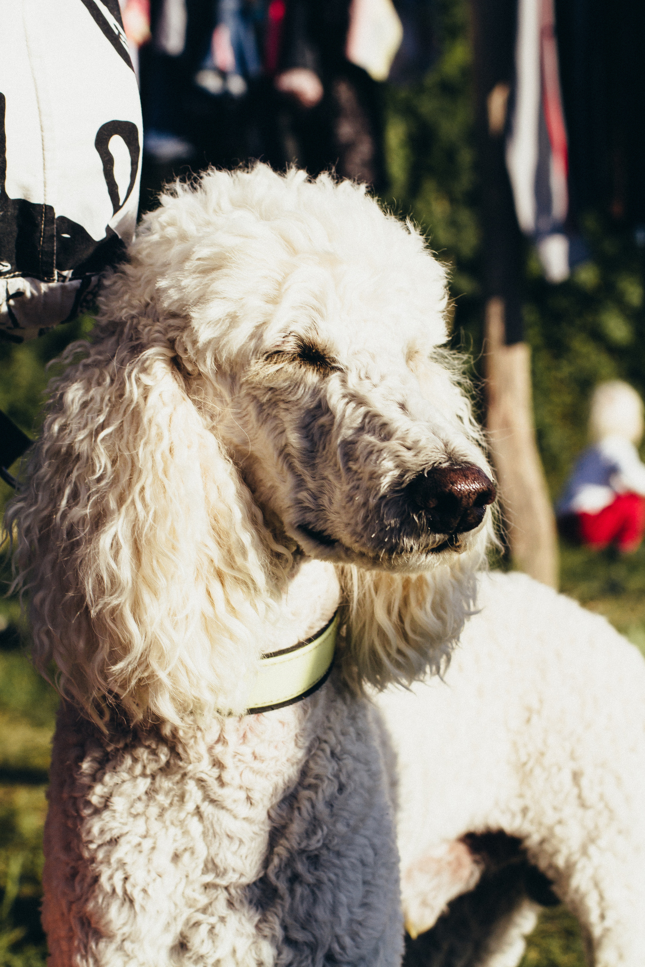 Бельбекская ярмарка. Фотограф Антон Катунин | Симферополь