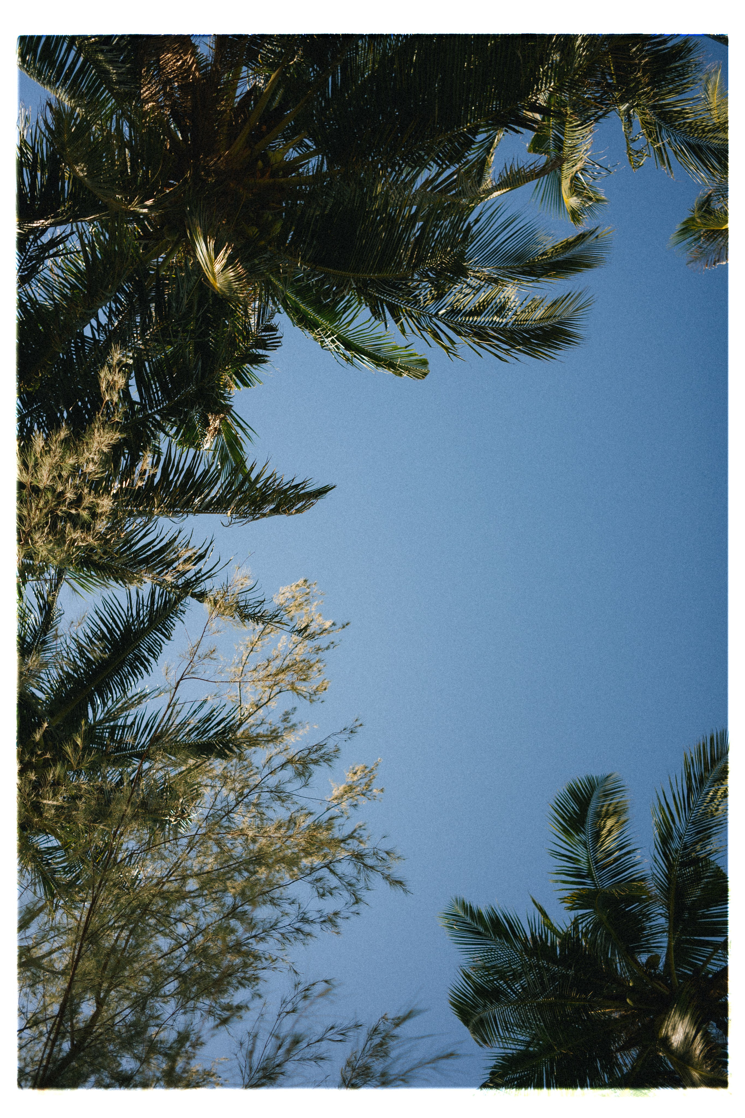 PAHNGAN 26. Свадебный и семейный фотограф Никита Корохов