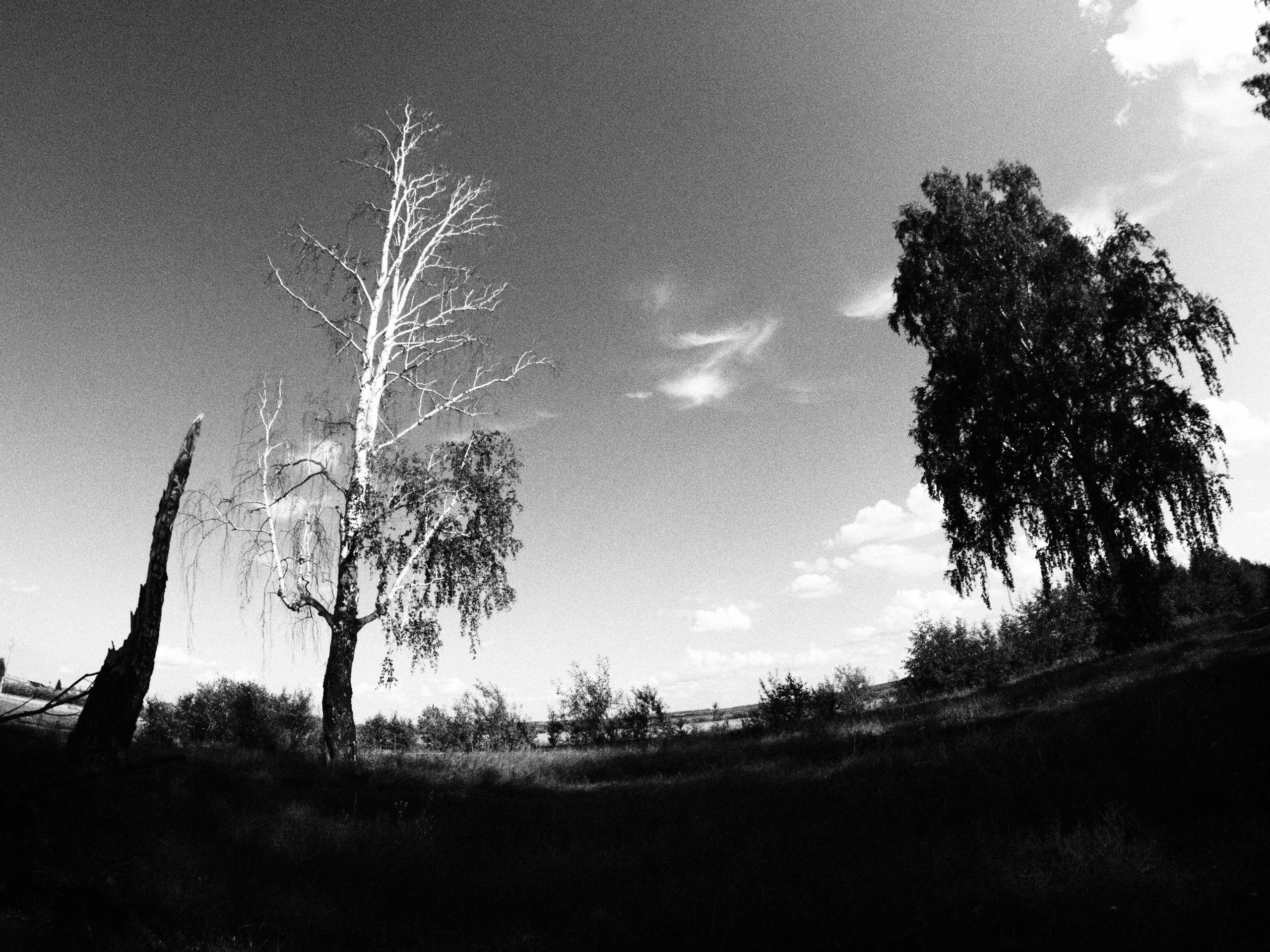 Промежуточные моменты (2023)