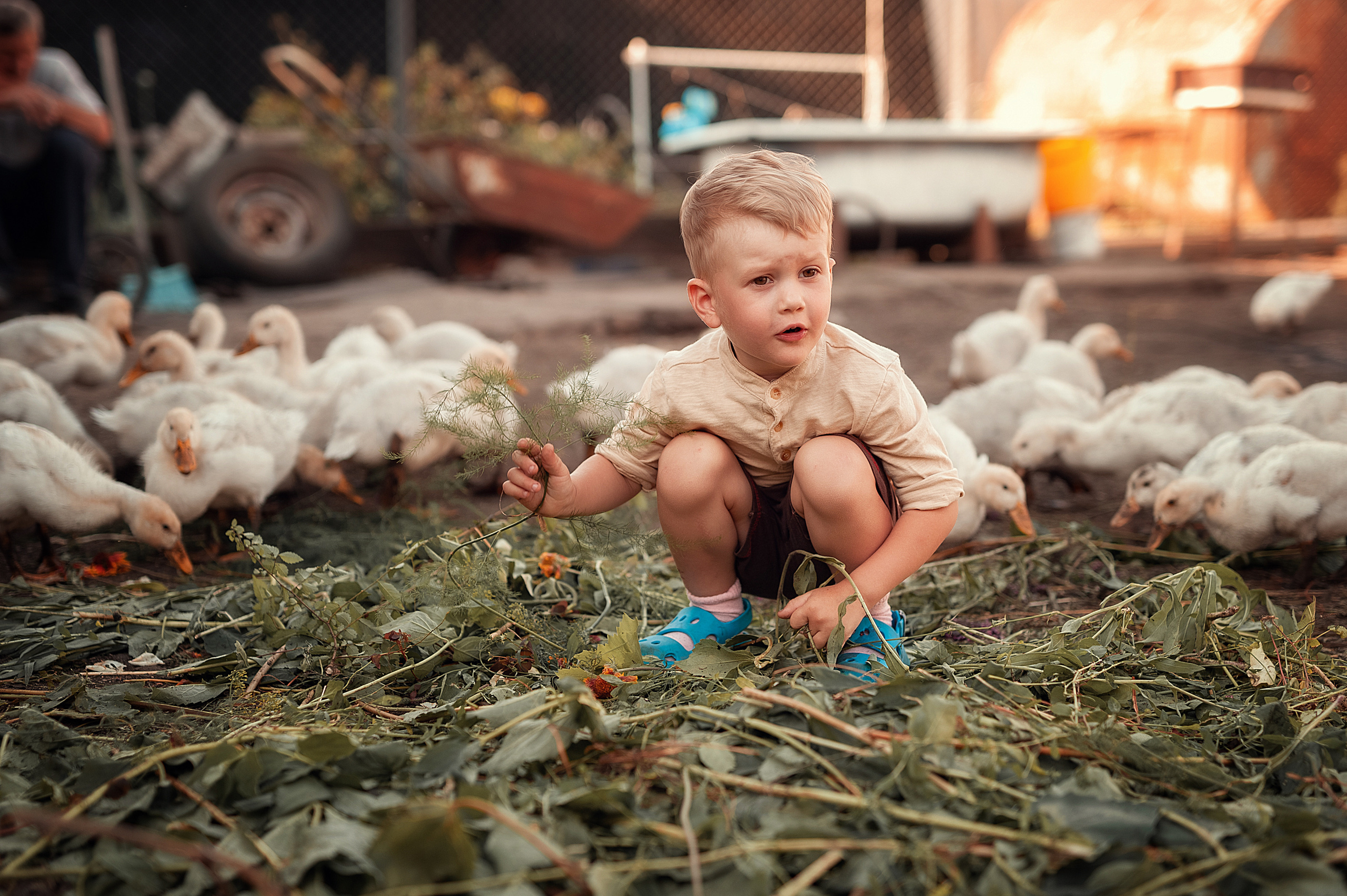 Птичий двор. Семейный, детский фотограф в Воронеже Анна Никитина