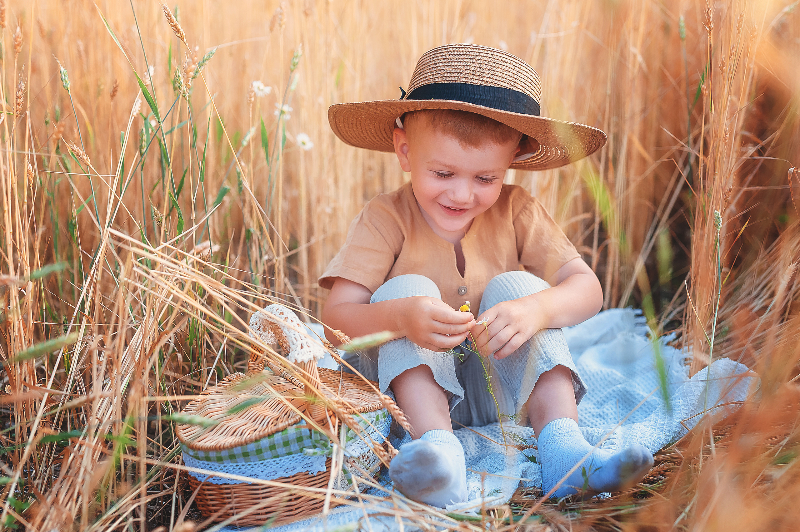 Фотосессии в пшенице. Семейный, детский фотограф в Воронеже Анна Никитина