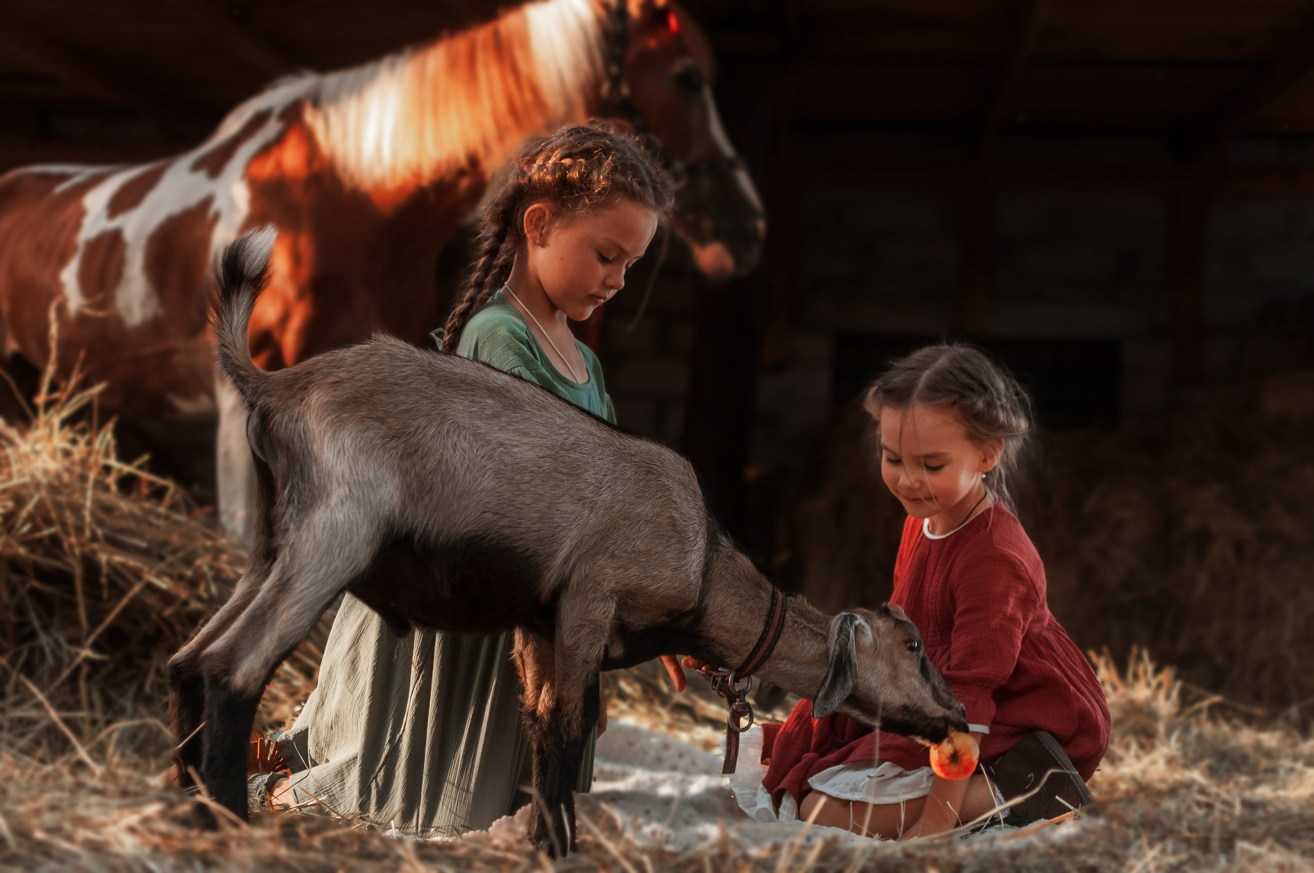 Прогулка по Ранчо. Семейный, детский фотограф в Воронеже Анна Никитина