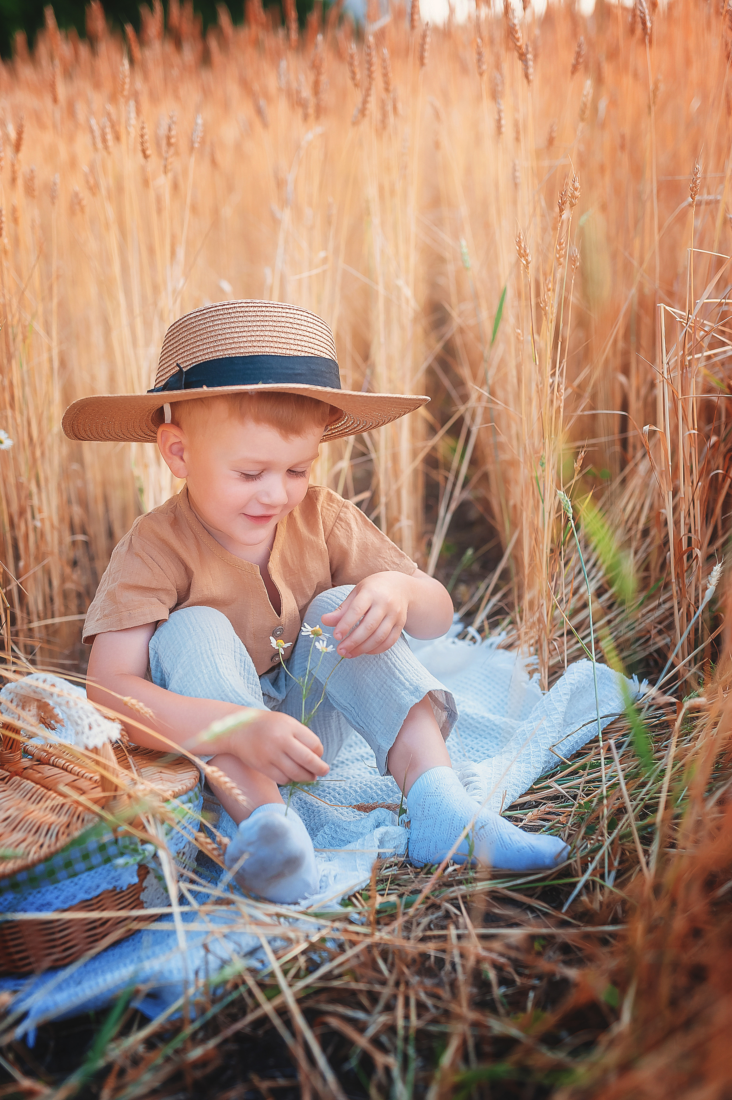 Фотосессии в пшенице. Семейный, детский фотограф в Воронеже Анна Никитина