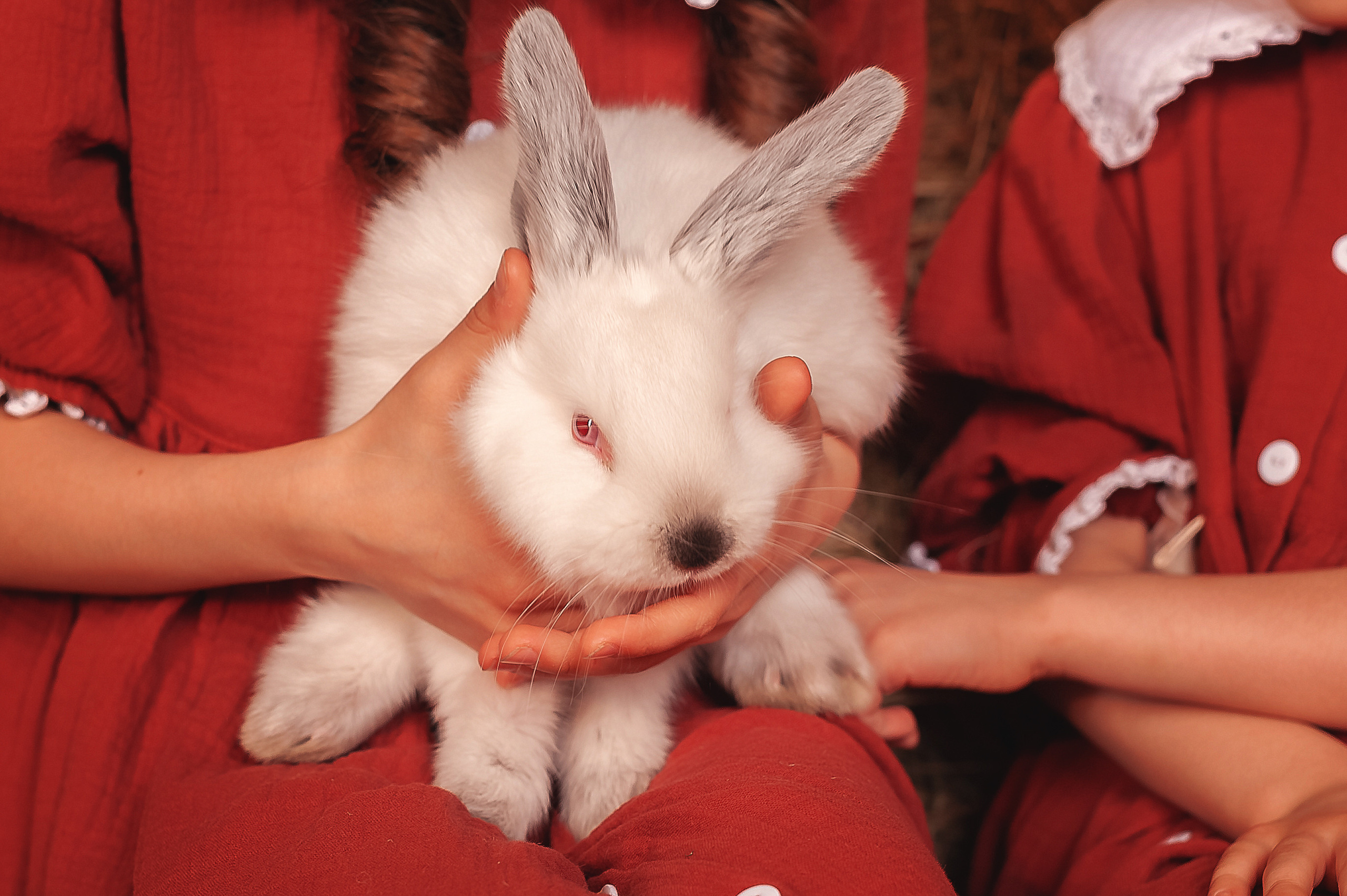 Детский пасхальный проект. Семейный, детский фотограф в Воронеже Анна Никитина