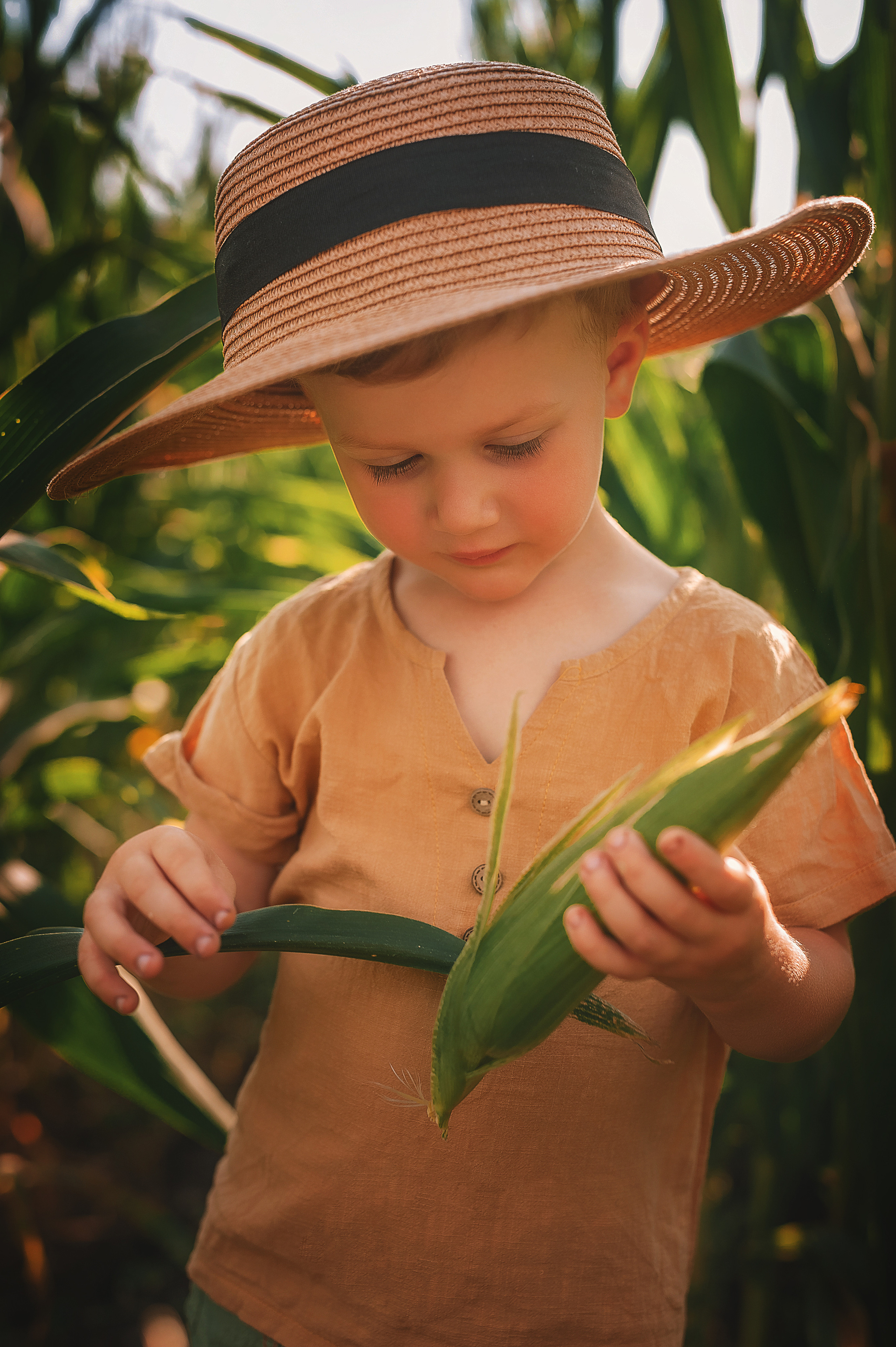 Фотосессия в кукурузе. Семейный, детский фотограф в Воронеже Анна Никитина