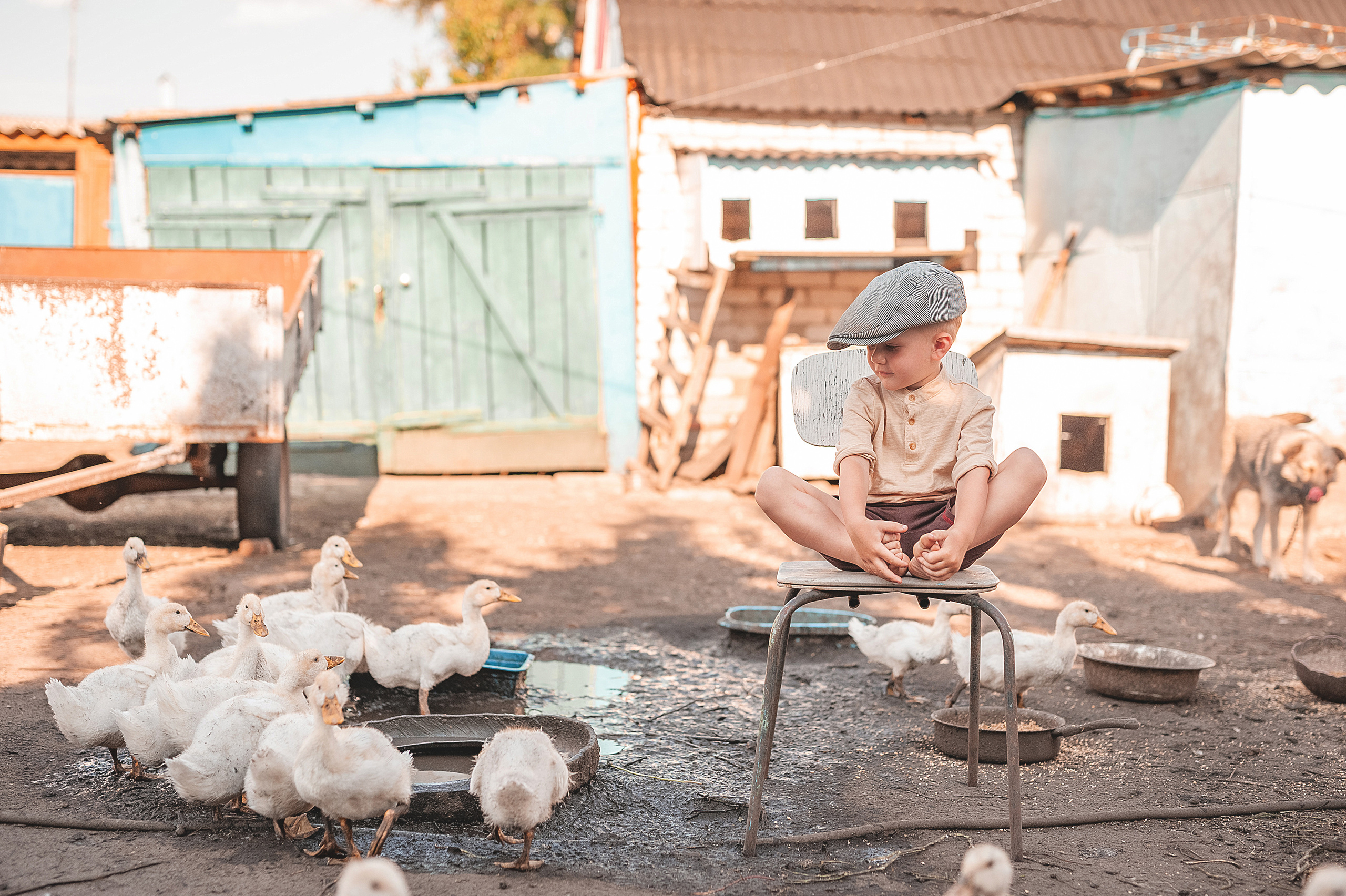 Птичий двор. Семейный, детский фотограф в Воронеже Анна Никитина