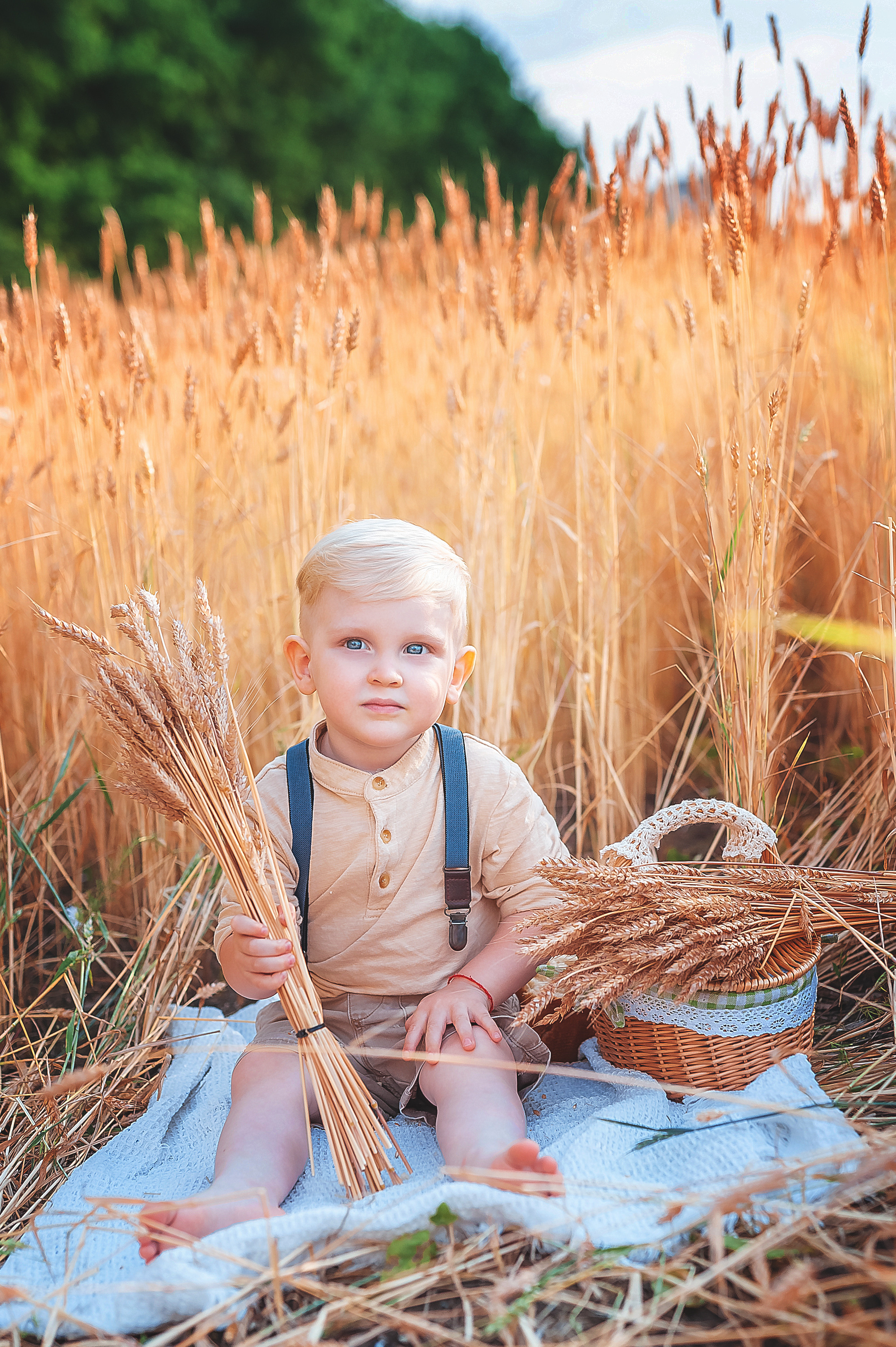 Фотосессии в пшенице. Семейный, детский фотограф в Воронеже Анна Никитина