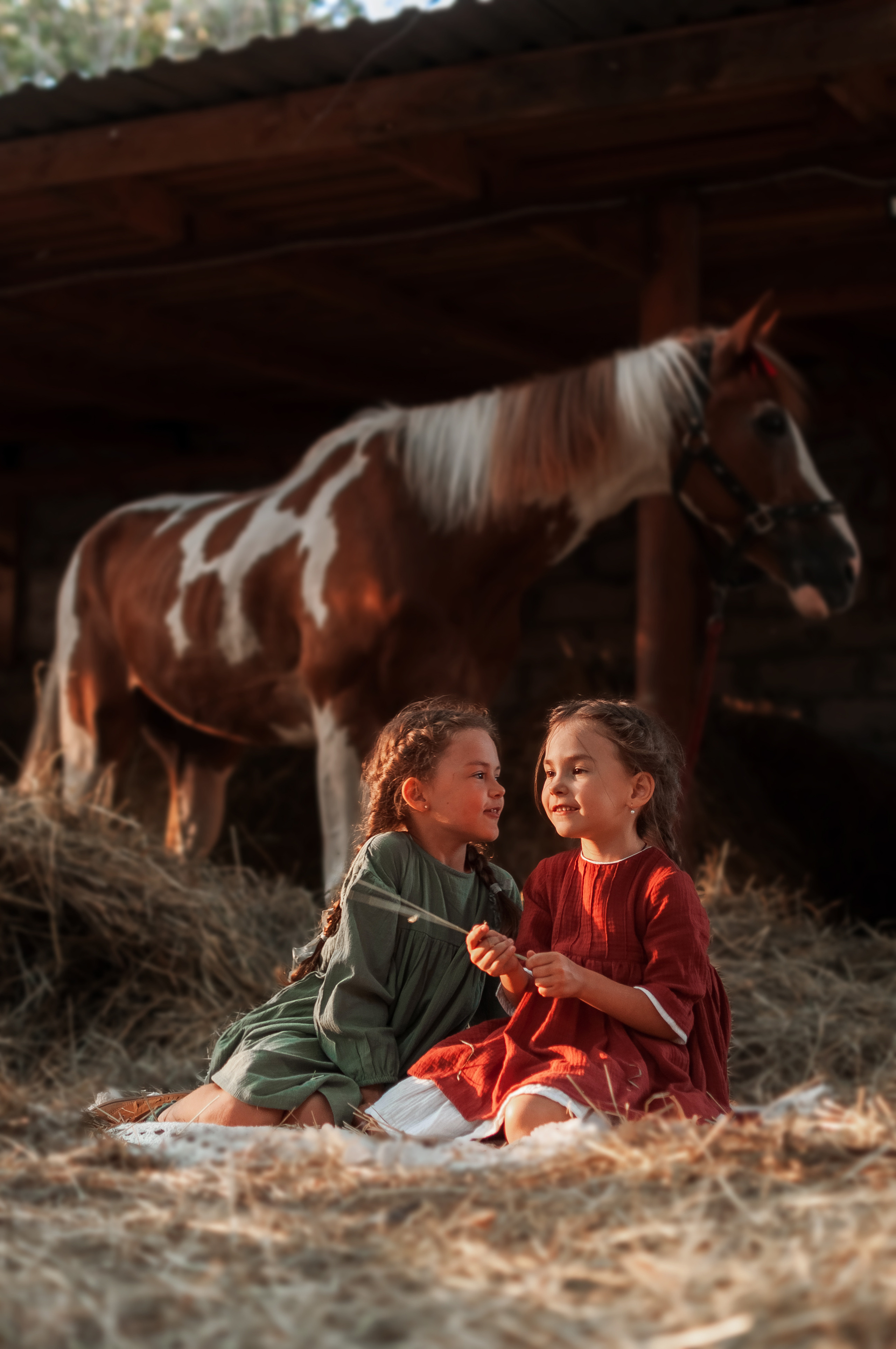 Прогулка по Ранчо. Семейный, детский фотограф в Воронеже Анна Никитина