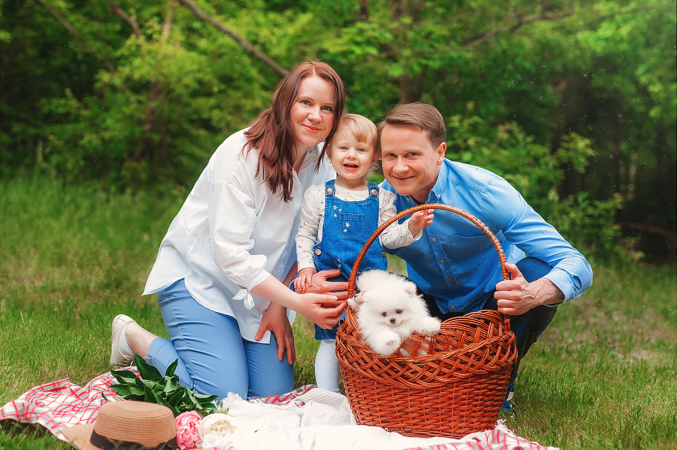 Проект с щеночками шпица. Семейный, детский фотограф в Воронеже Анна Никитина