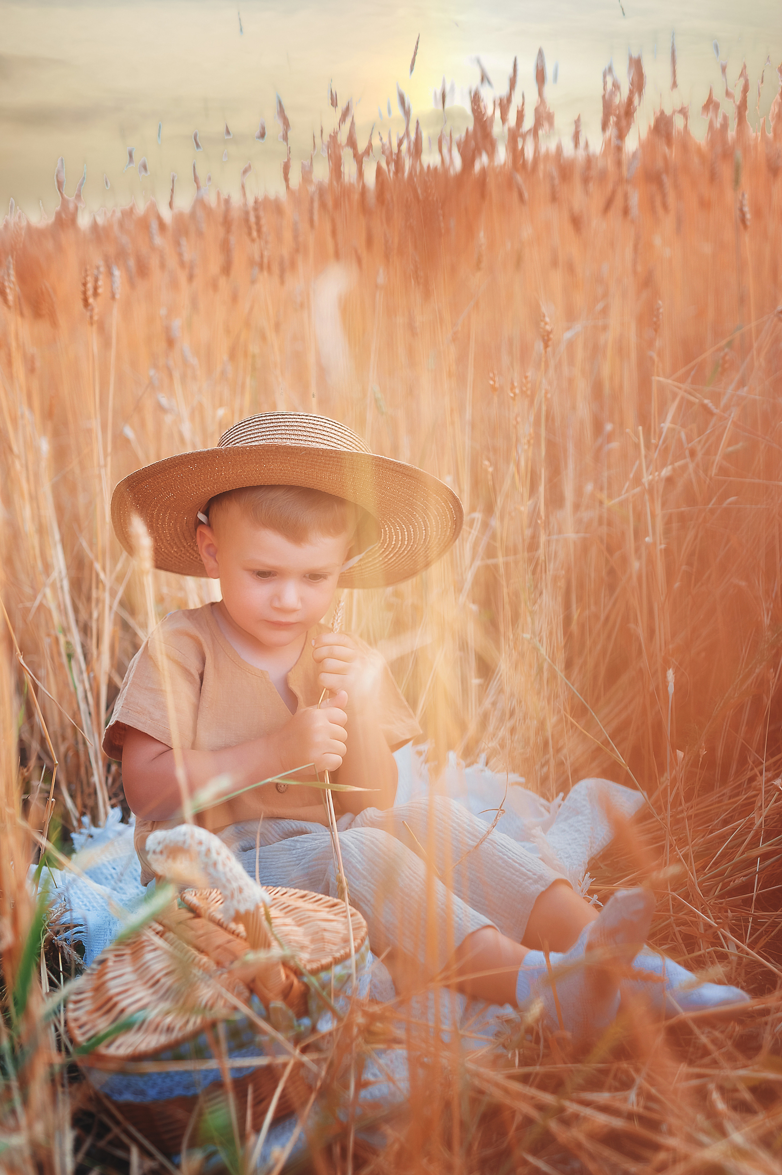 Фотосессии в пшенице. Семейный, детский фотограф в Воронеже Анна Никитина