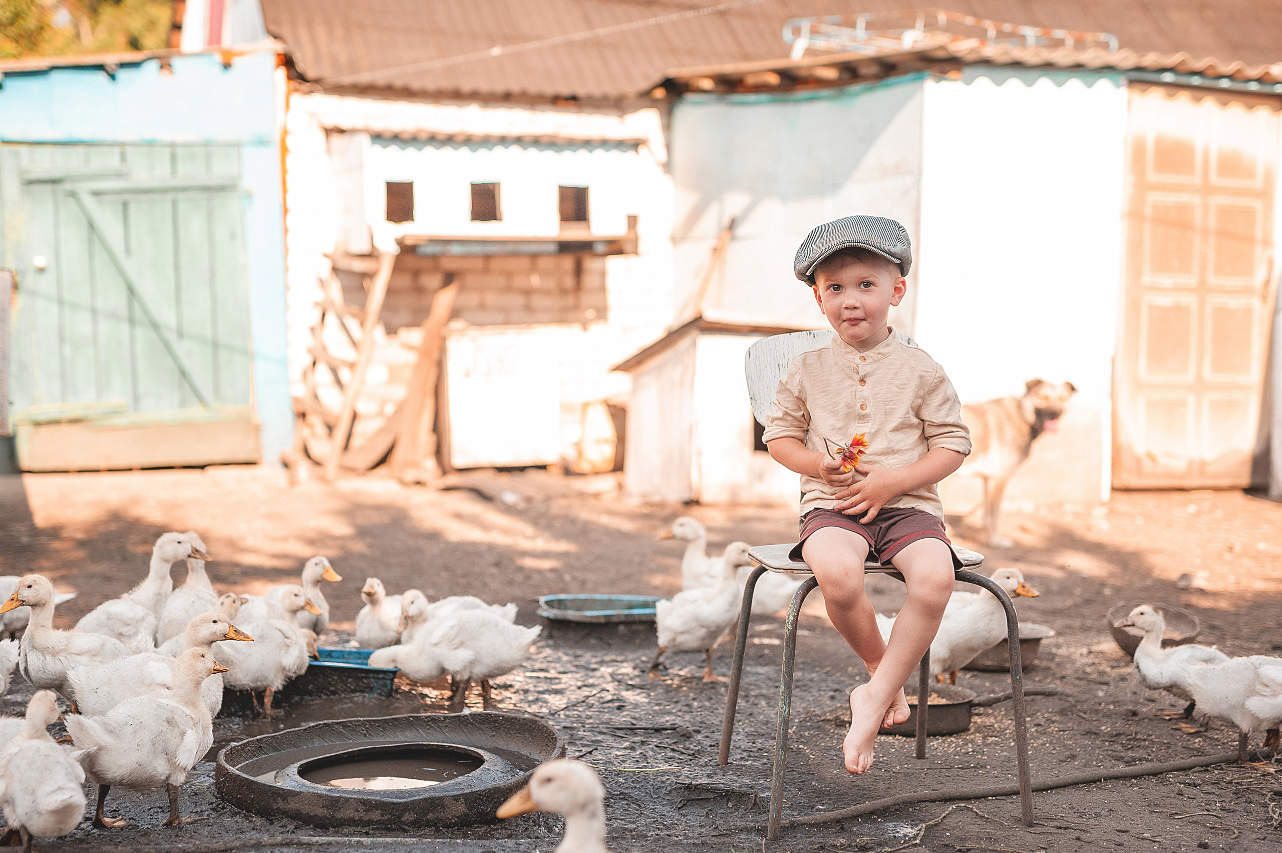 Птичий двор. Семейный, детский фотограф в Воронеже Анна Никитина