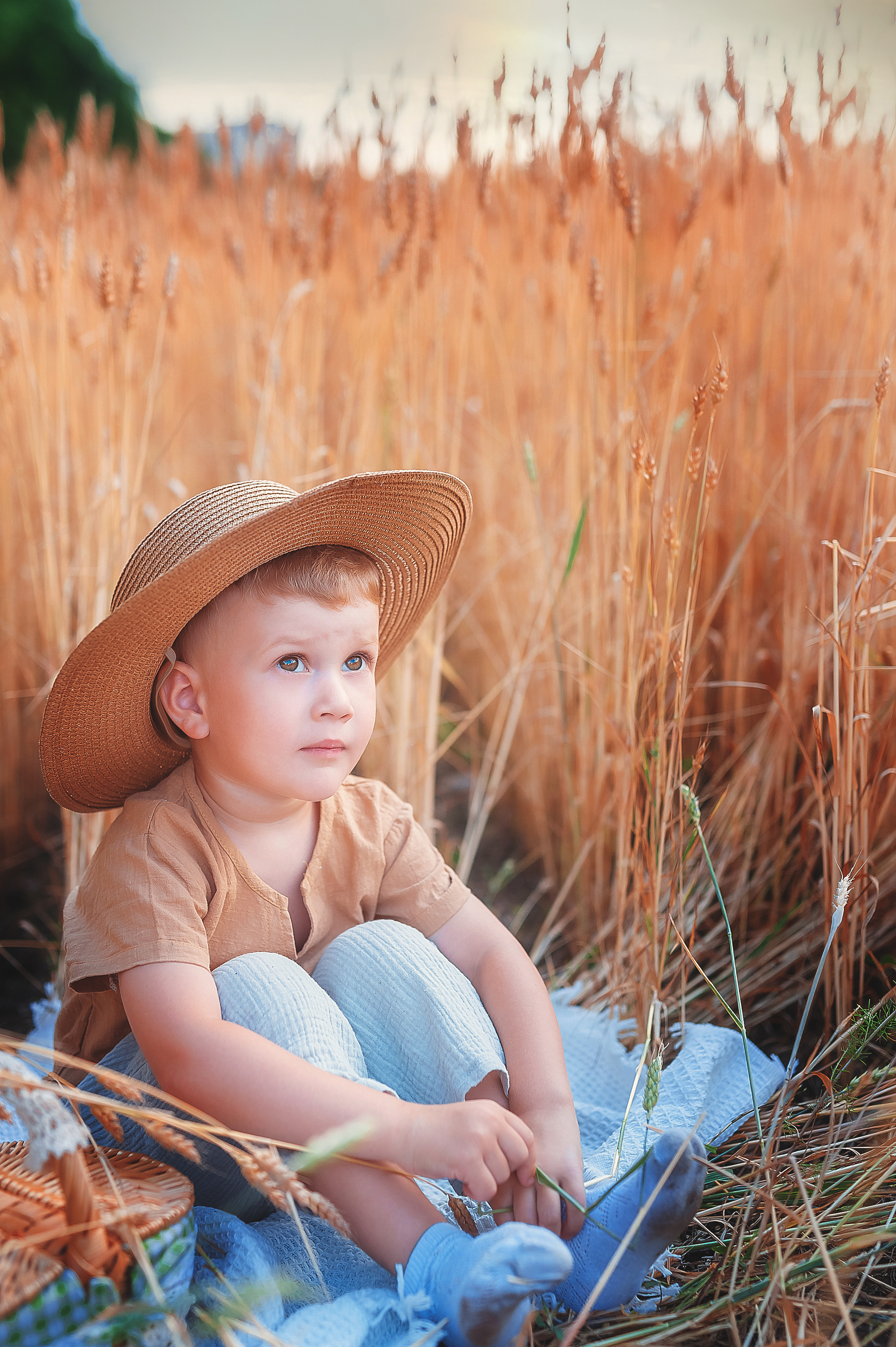 Фотосессии в пшенице. Семейный, детский фотограф в Воронеже Анна Никитина