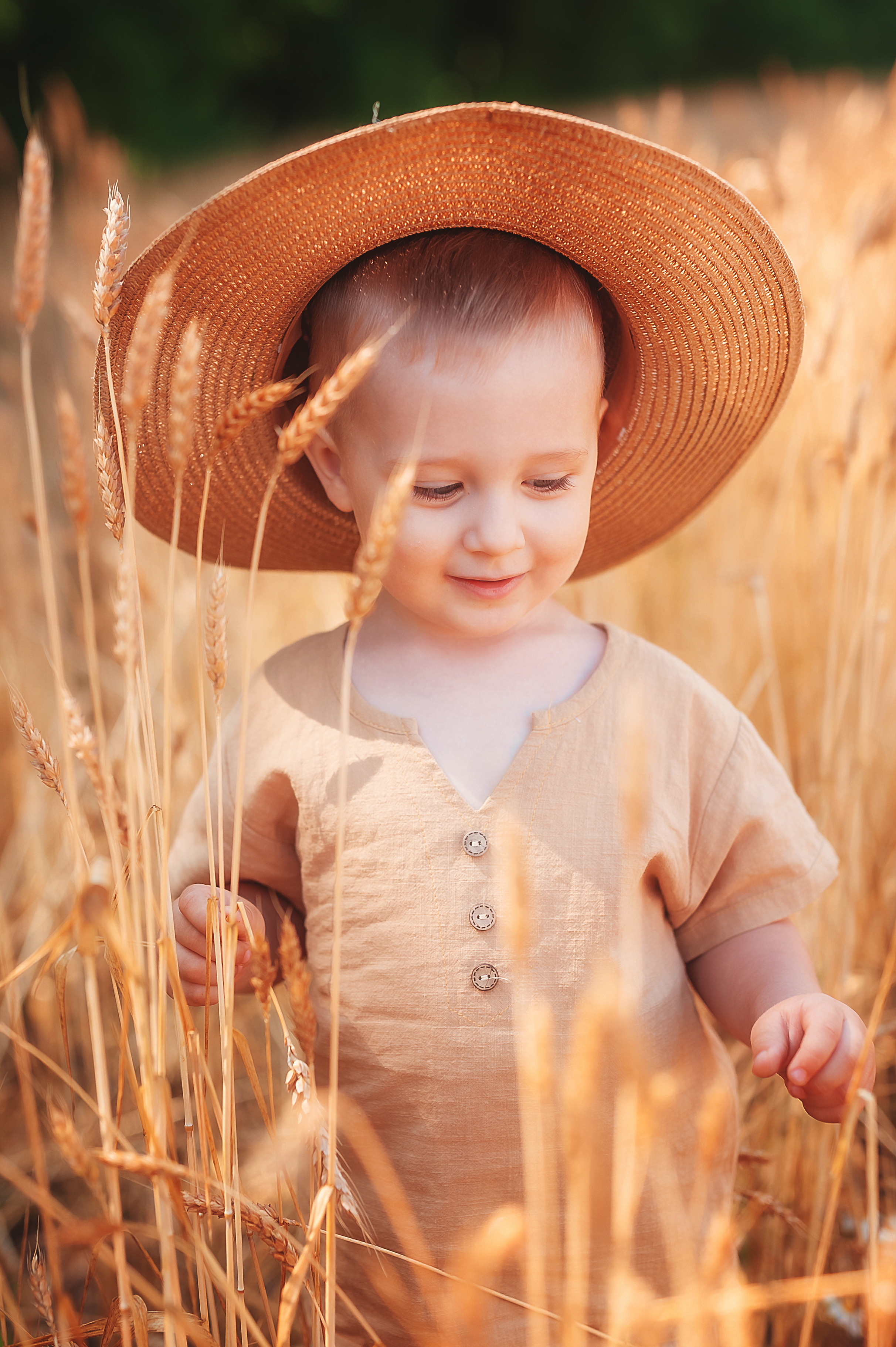 Фотосессии в пшенице. Семейный, детский фотограф в Воронеже Анна Никитина