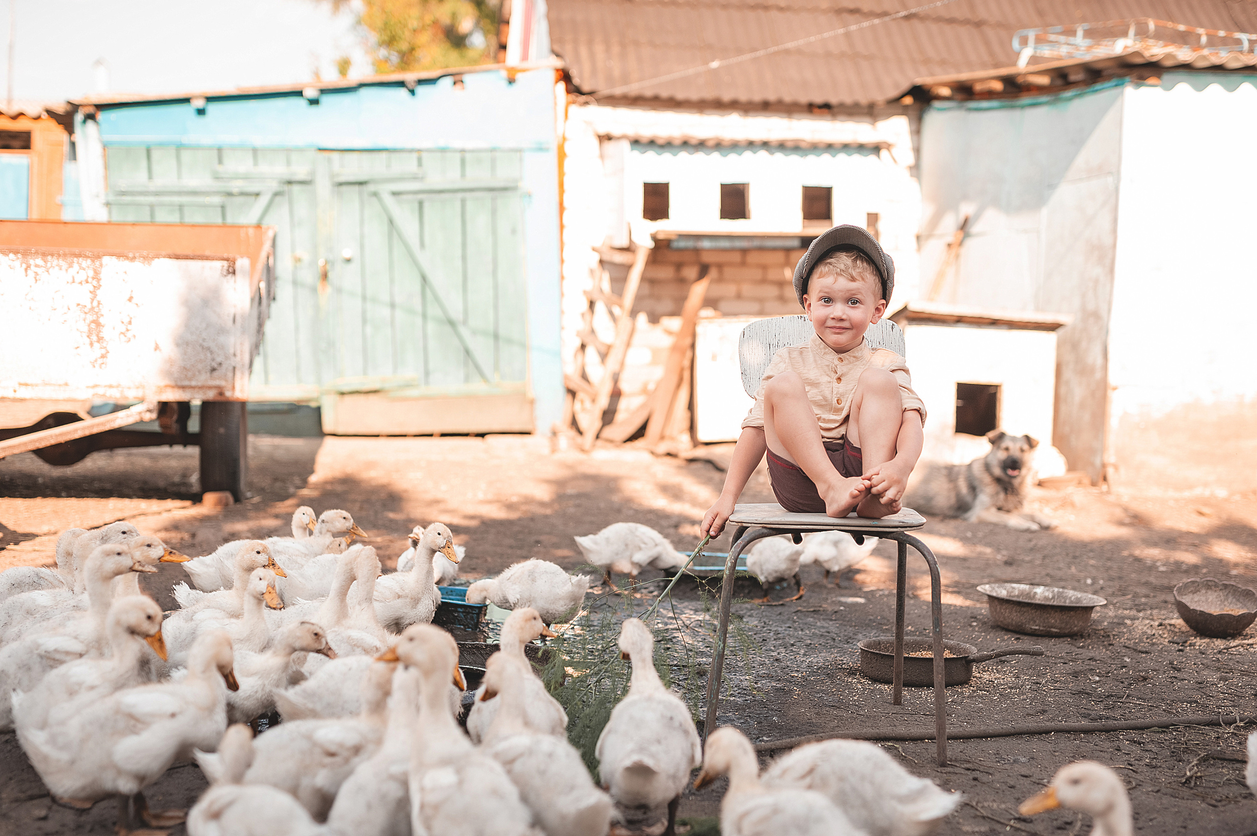 Птичий двор. Семейный, детский фотограф в Воронеже Анна Никитина