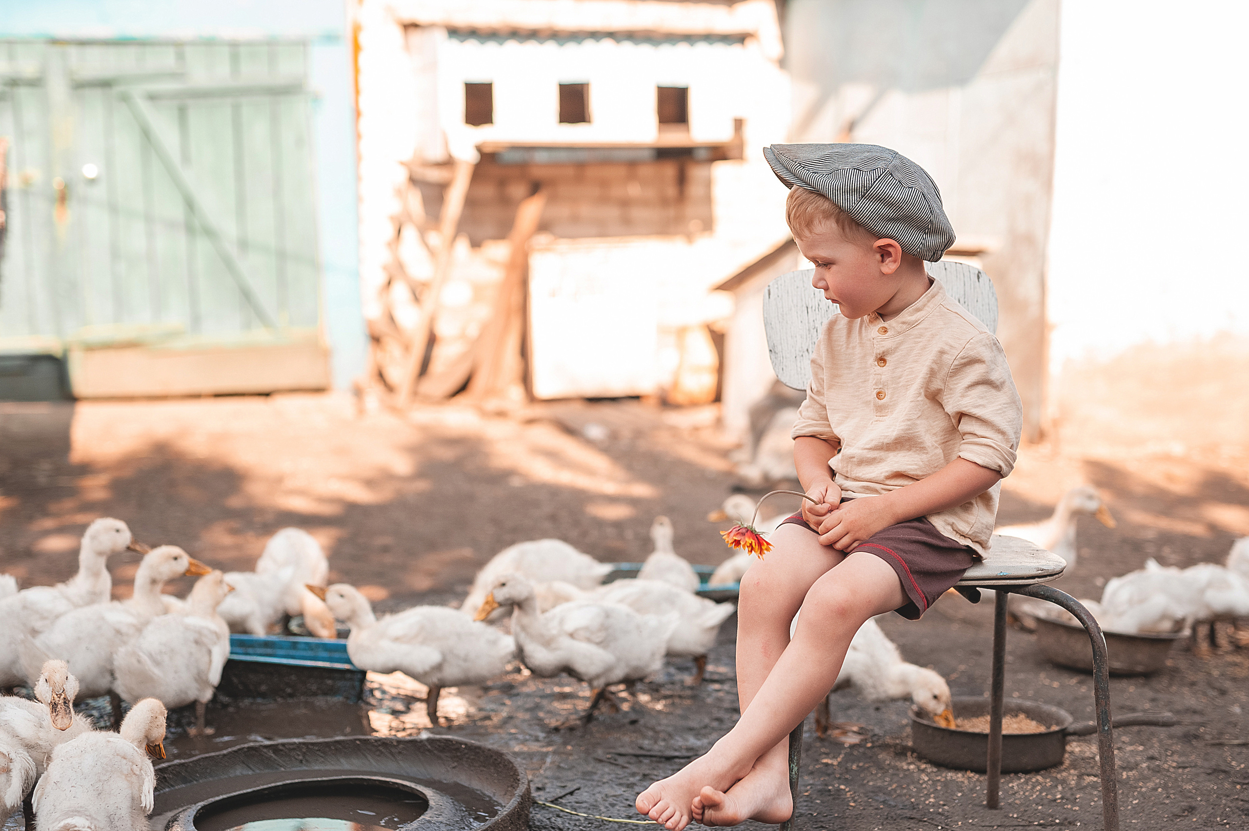 Птичий двор. Семейный, детский фотограф в Воронеже Анна Никитина