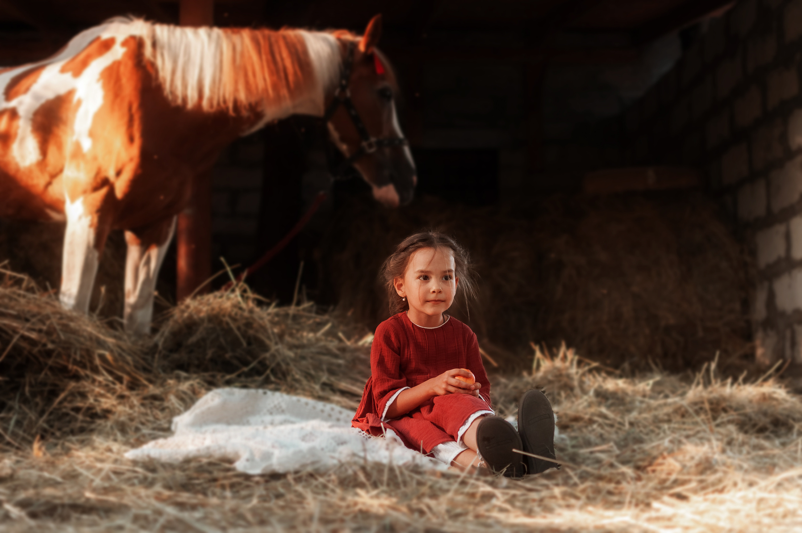 Прогулка по Ранчо. Семейный, детский фотограф в Воронеже Анна Никитина