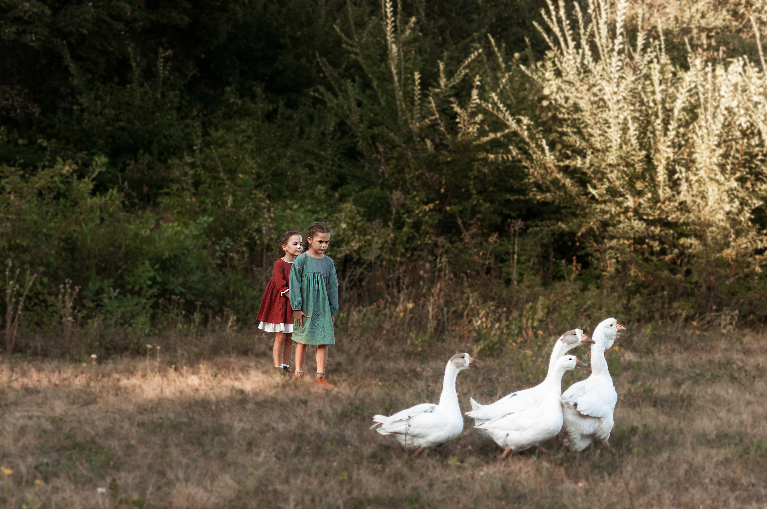 Прогулка по Ранчо. Семейный, детский фотограф в Воронеже Анна Никитина