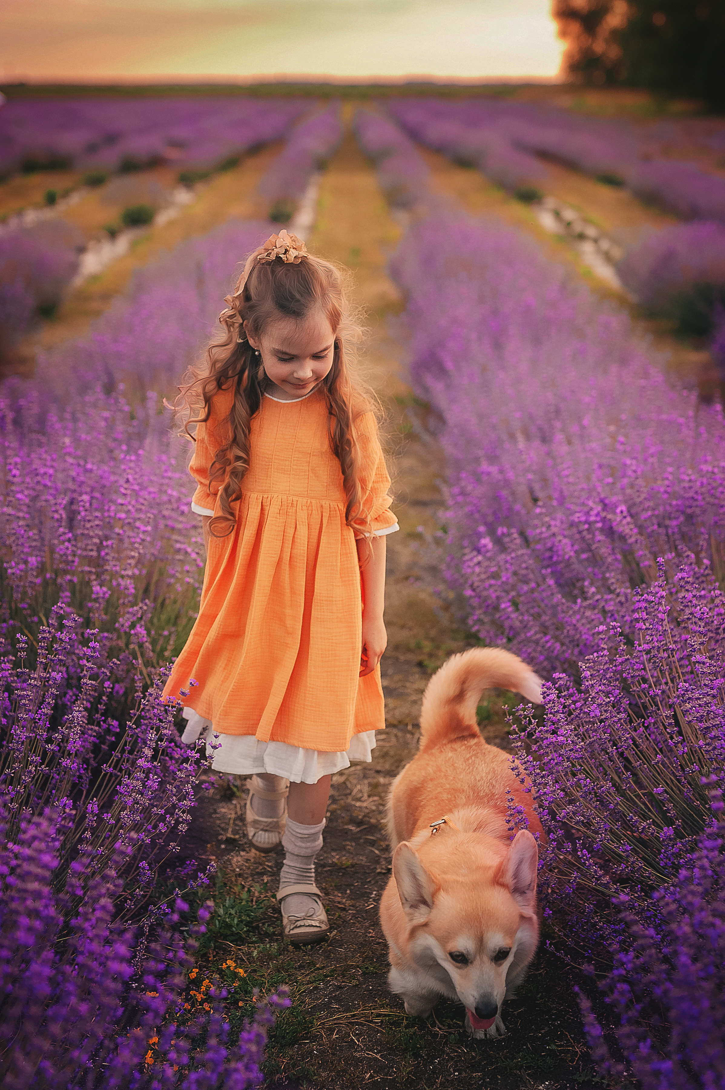 Лаванда. Семейный, детский фотограф в Воронеже Анна Никитина