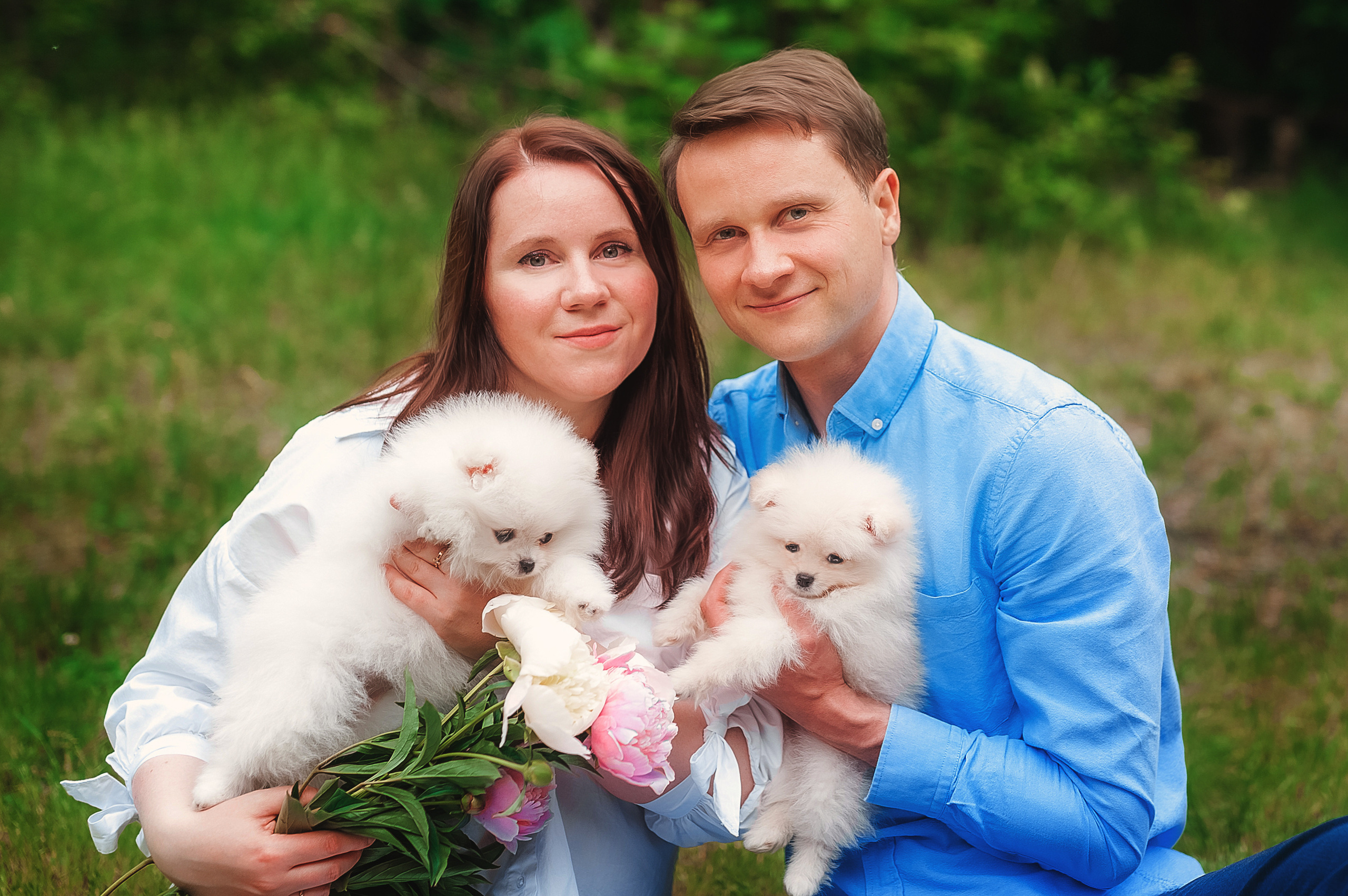 Проект с щеночками шпица. Семейный, детский фотограф в Воронеже Анна Никитина