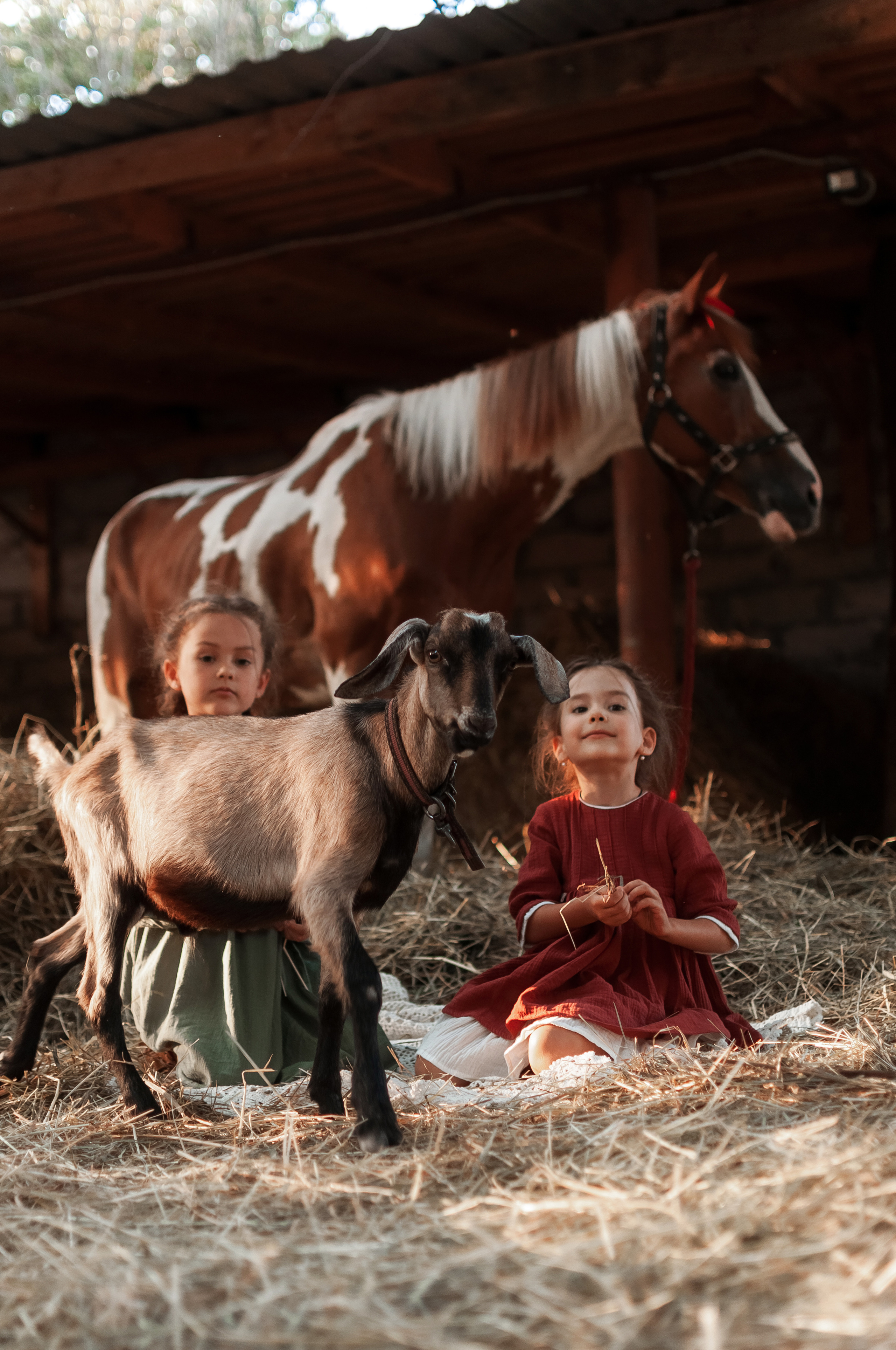 Прогулка по Ранчо. Семейный, детский фотограф в Воронеже Анна Никитина