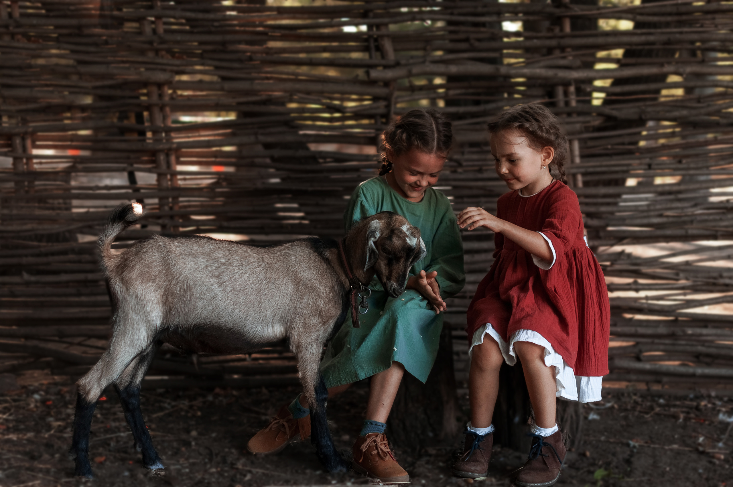 Прогулка по Ранчо. Семейный, детский фотограф в Воронеже Анна Никитина