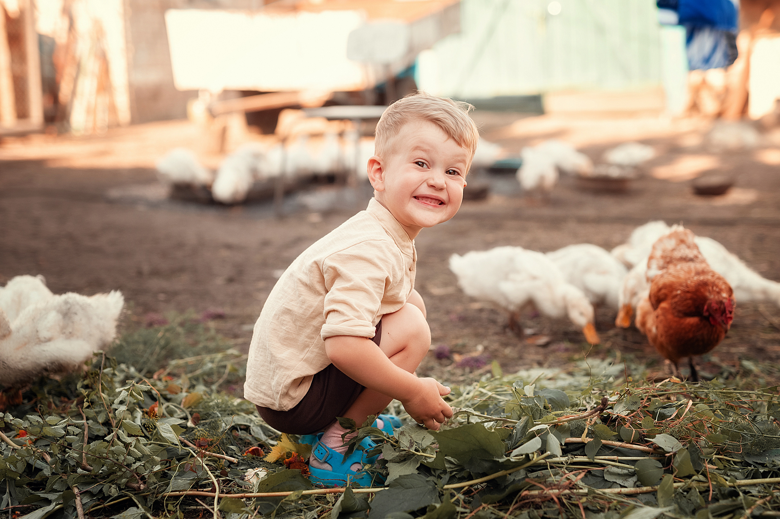 Птичий двор. Семейный, детский фотограф в Воронеже Анна Никитина