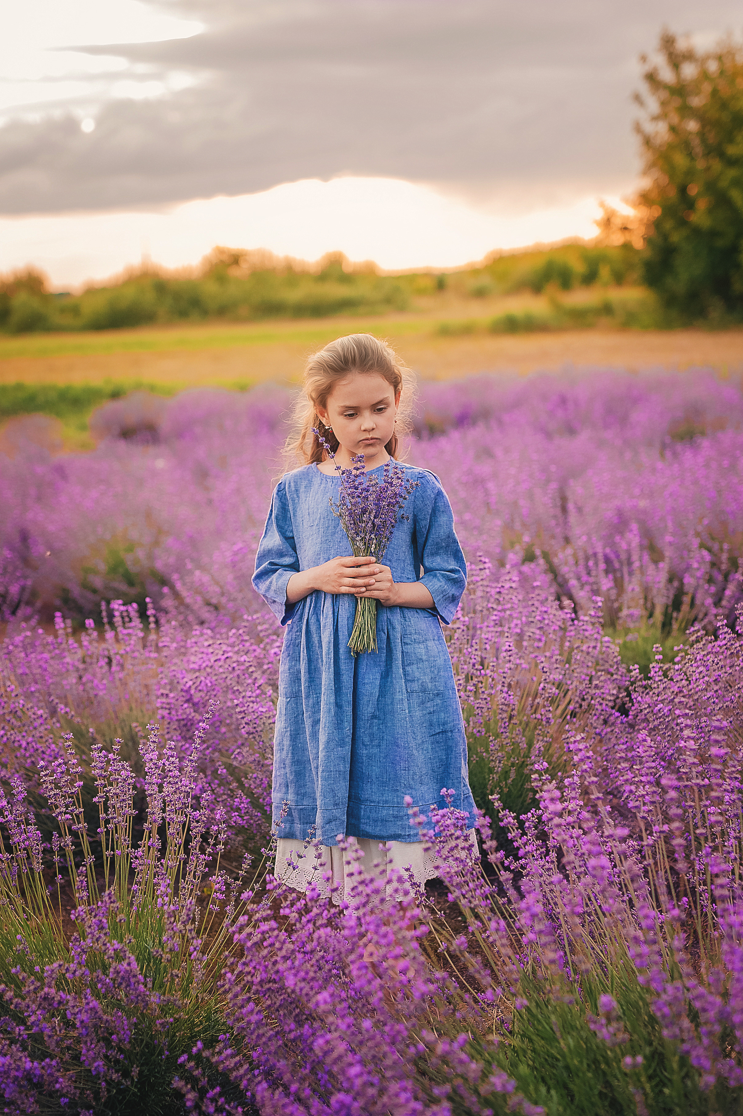 Лаванда. Семейный, детский фотограф в Воронеже Анна Никитина