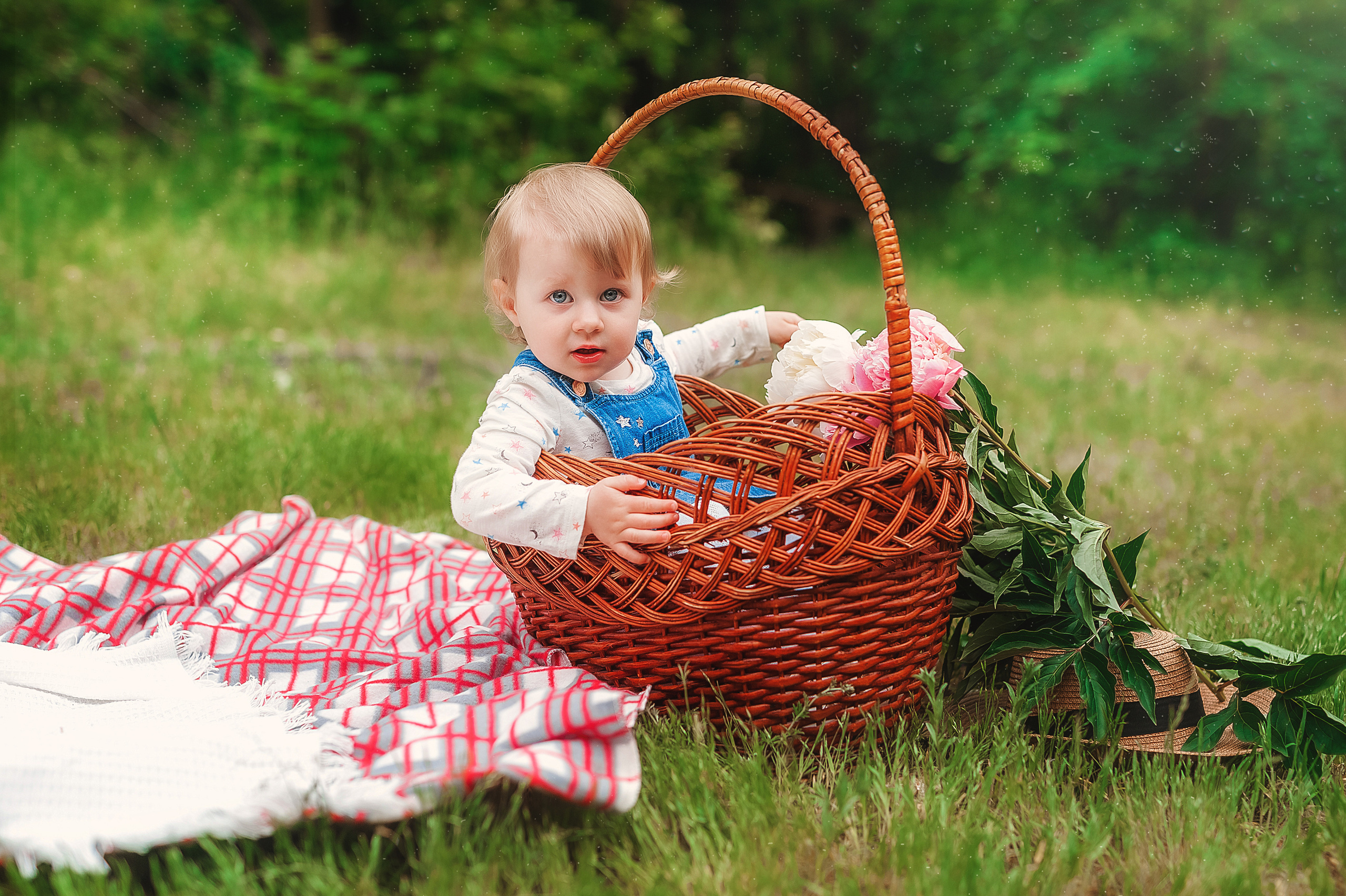 Проект с щеночками шпица. Семейный, детский фотограф в Воронеже Анна Никитина