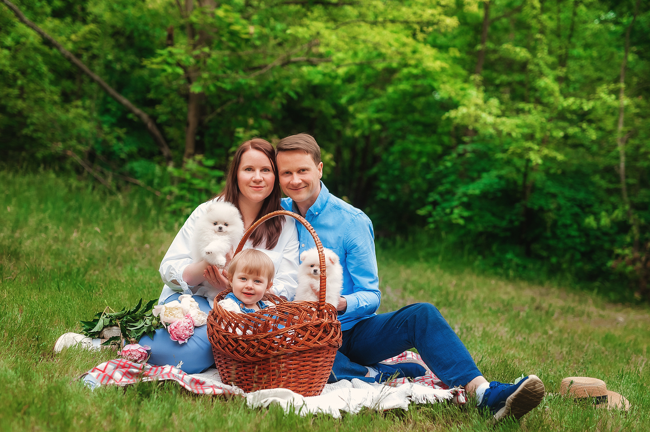 Проект с щеночками шпица. Семейный, детский фотограф в Воронеже Анна Никитина