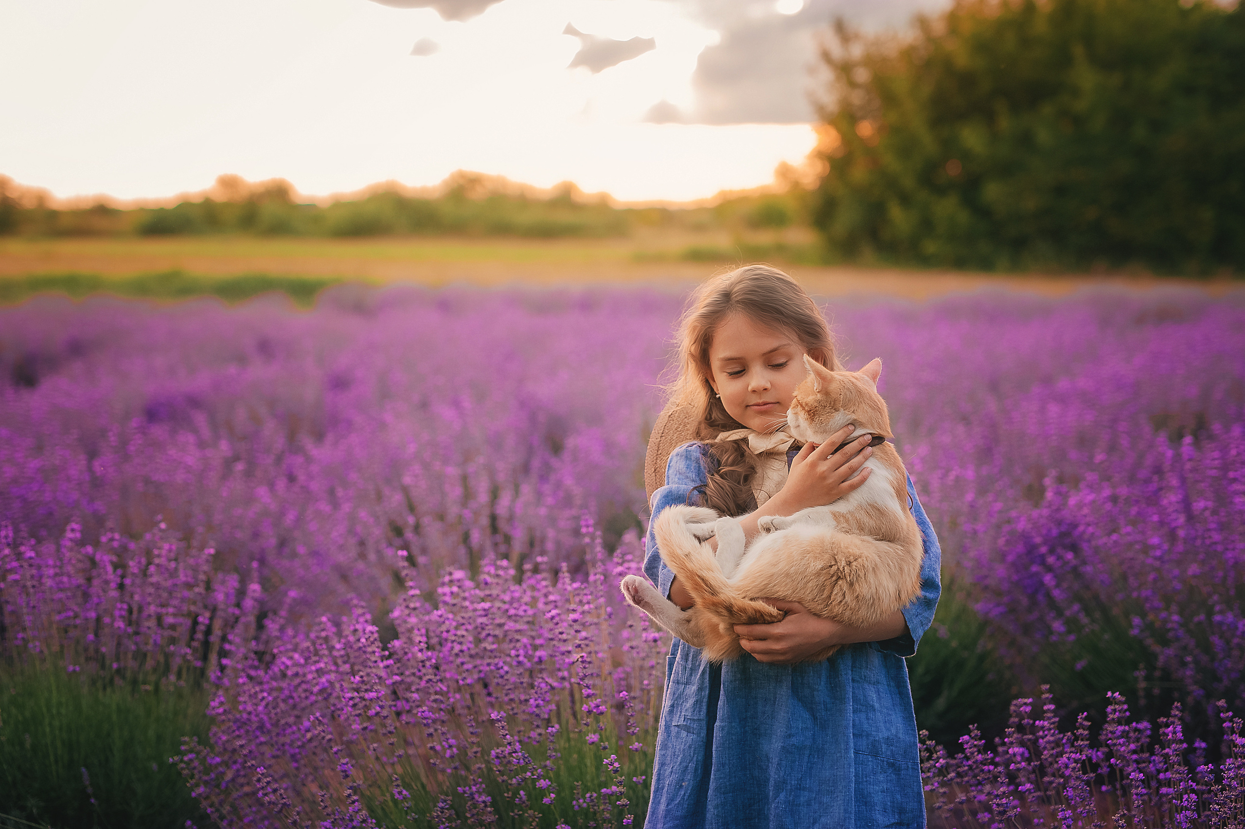 Лаванда. Семейный, детский фотограф в Воронеже Анна Никитина