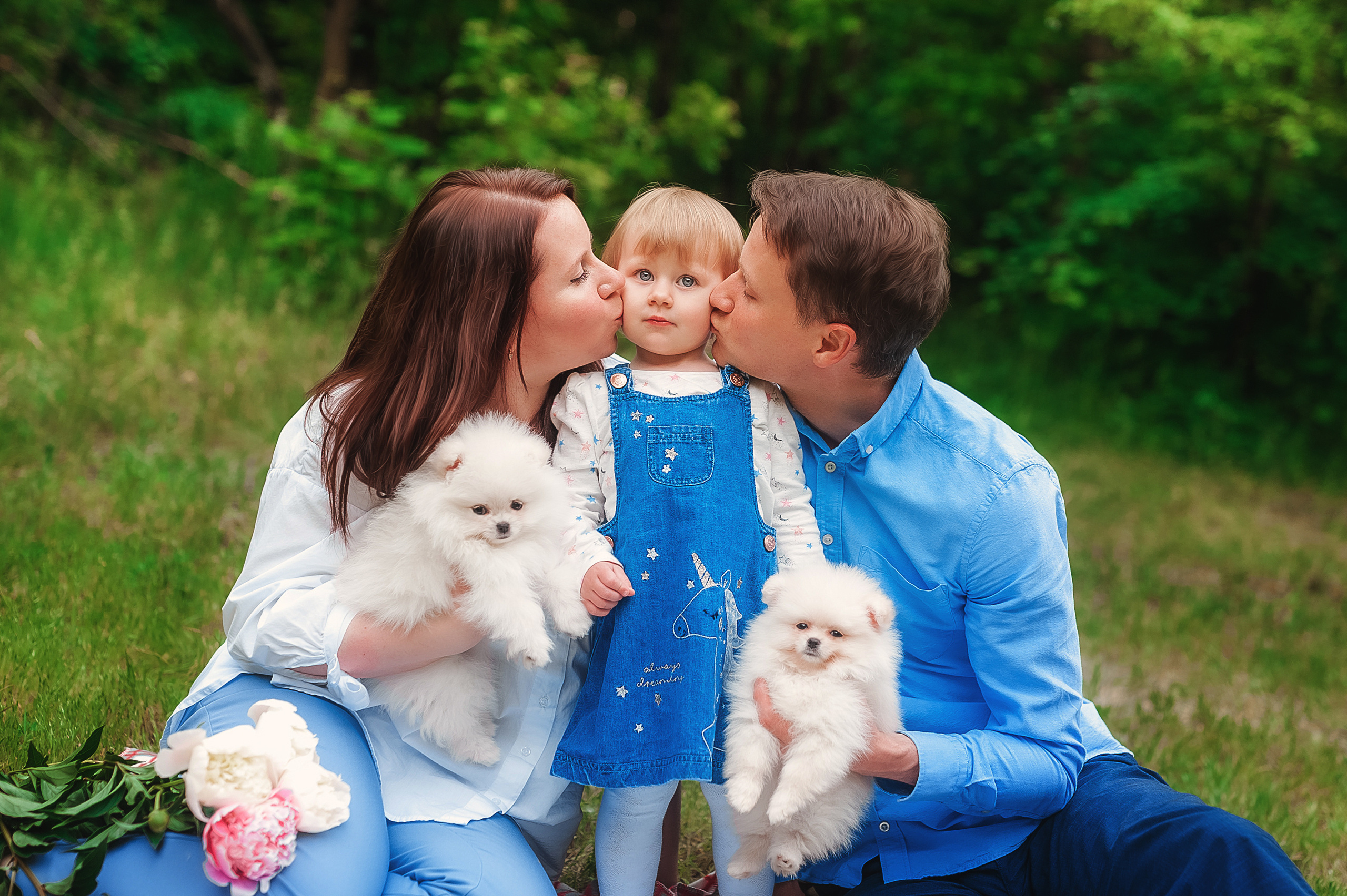 Проект с щеночками шпица. Семейный, детский фотограф в Воронеже Анна Никитина
