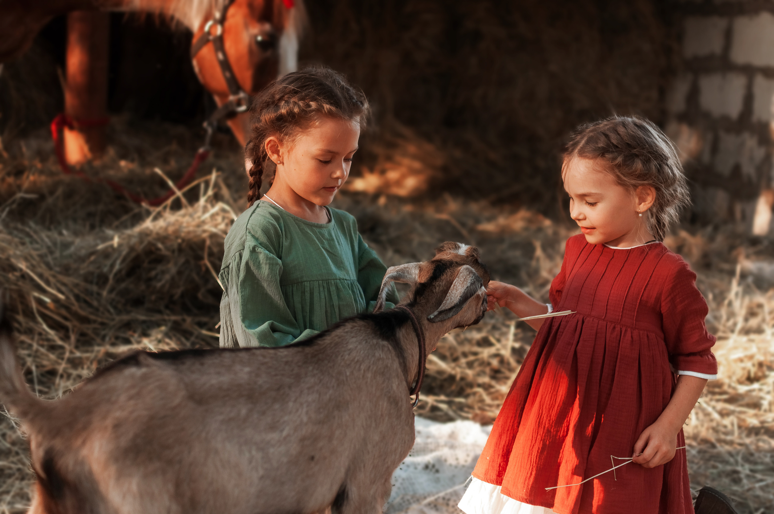 Прогулка по Ранчо. Семейный, детский фотограф в Воронеже Анна Никитина
