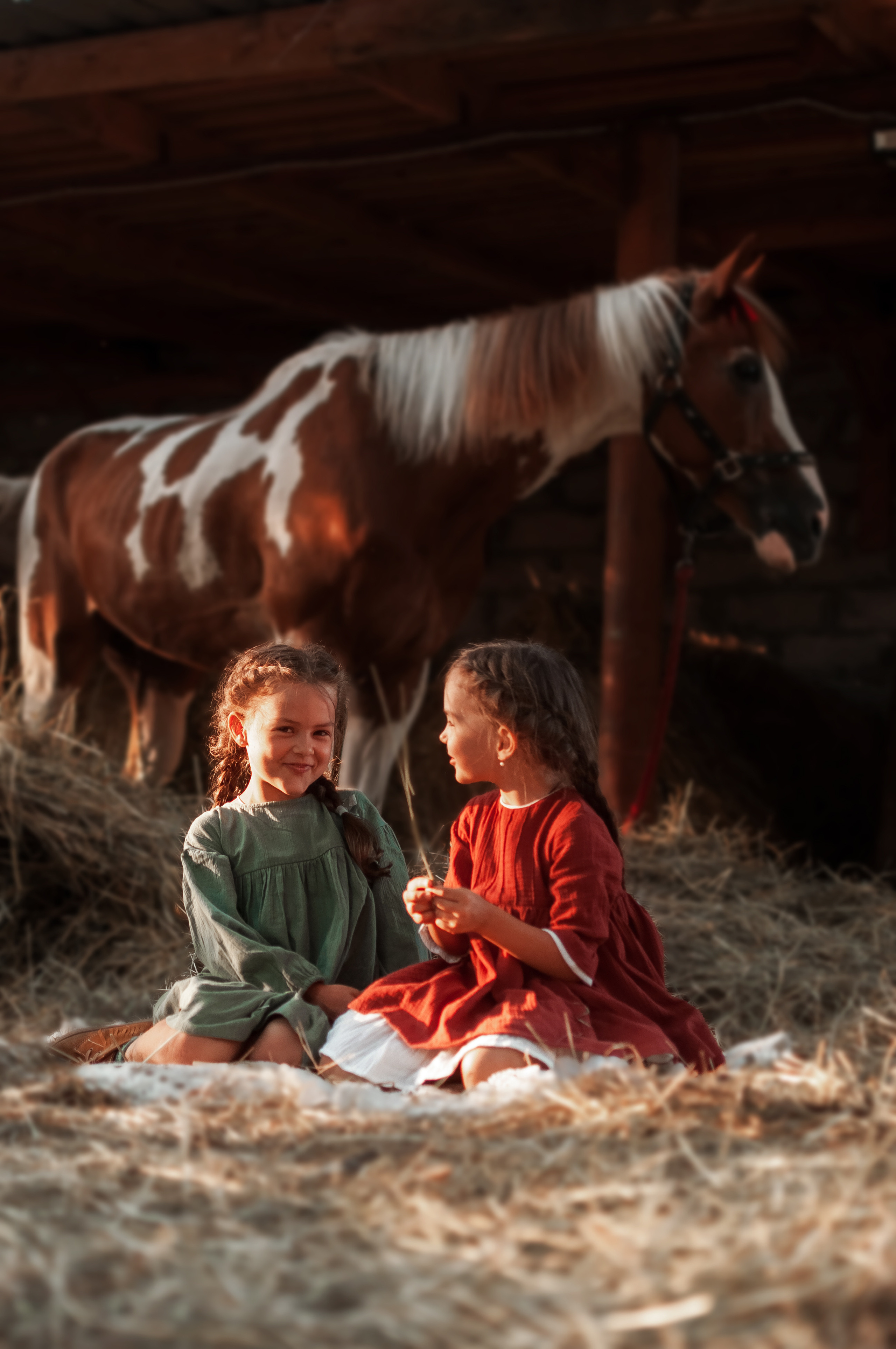 Прогулка по Ранчо. Семейный, детский фотограф в Воронеже Анна Никитина