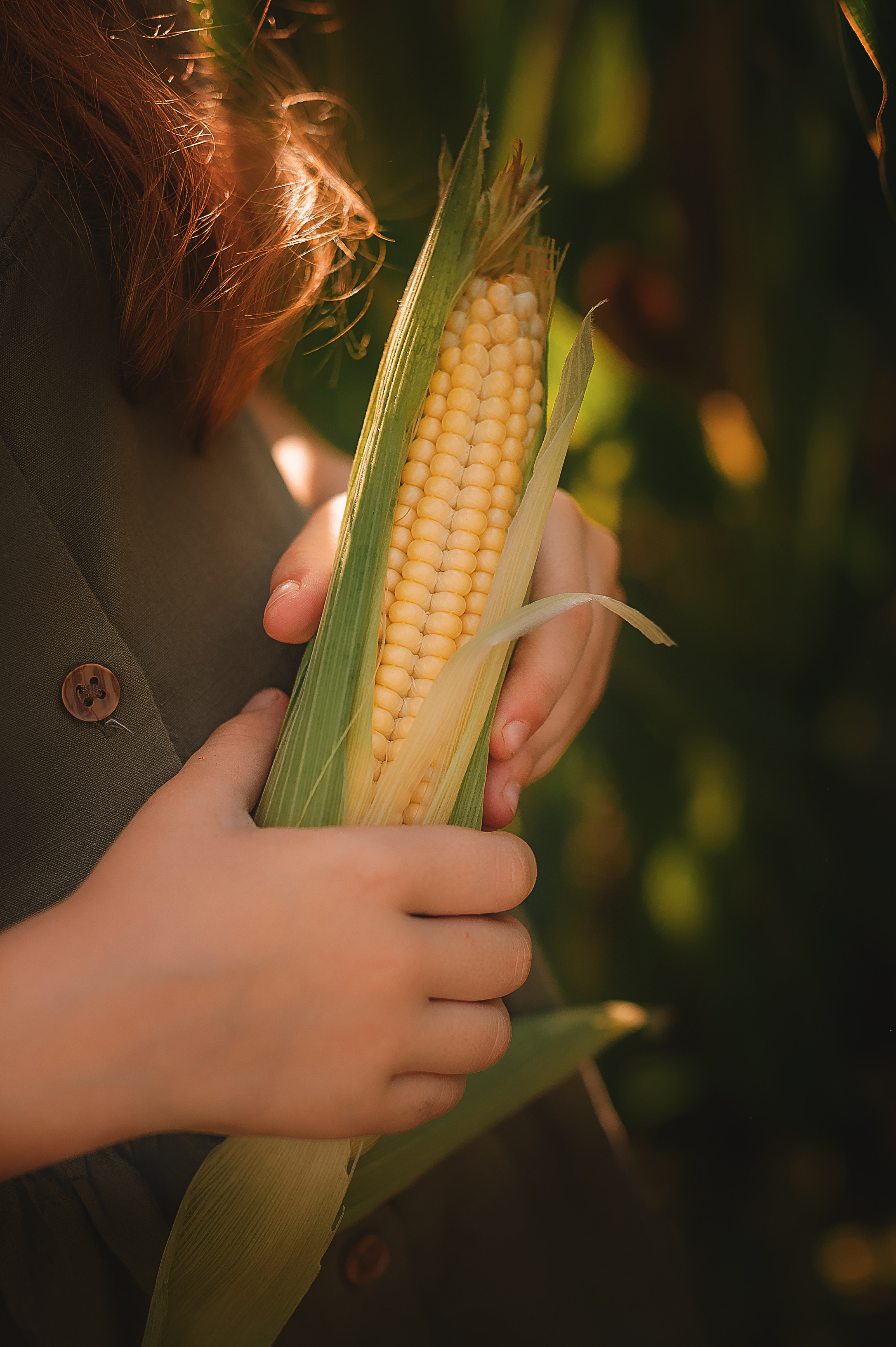 Фотосессия в кукурузе. Семейный, детский фотограф в Воронеже Анна Никитина