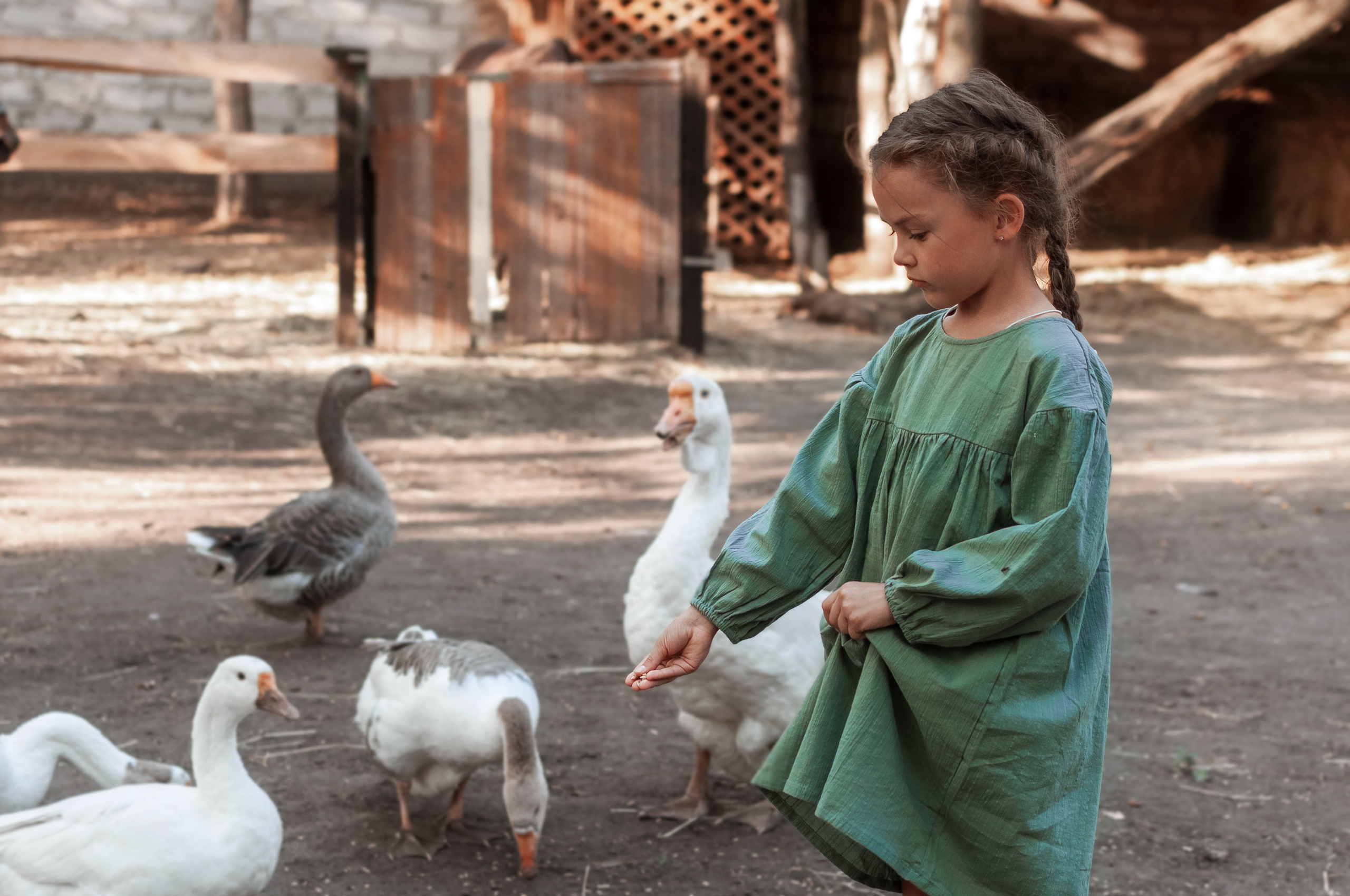 Прогулка по Ранчо. Семейный, детский фотограф в Воронеже Анна Никитина