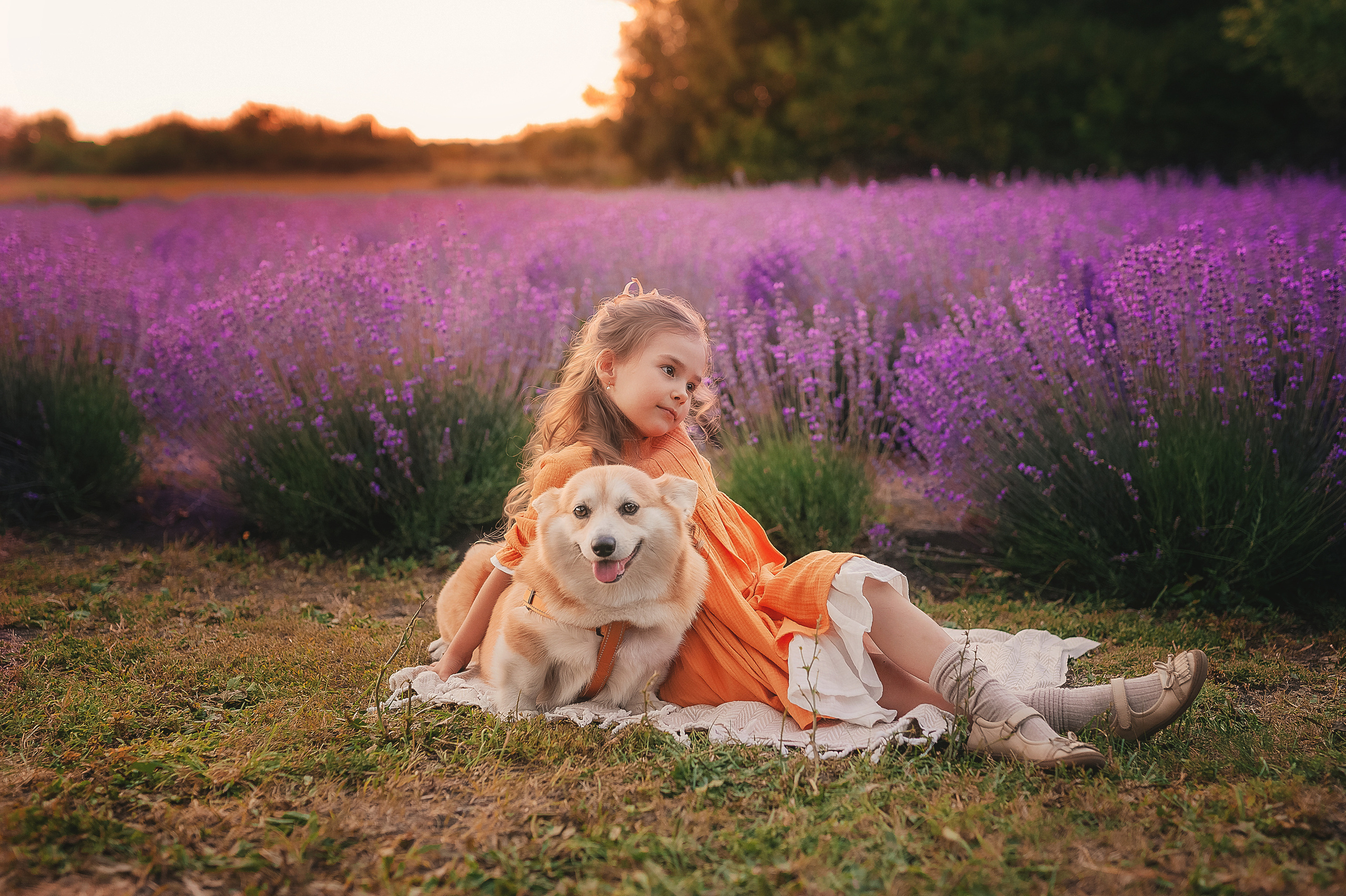Лаванда. Семейный, детский фотограф в Воронеже Анна Никитина