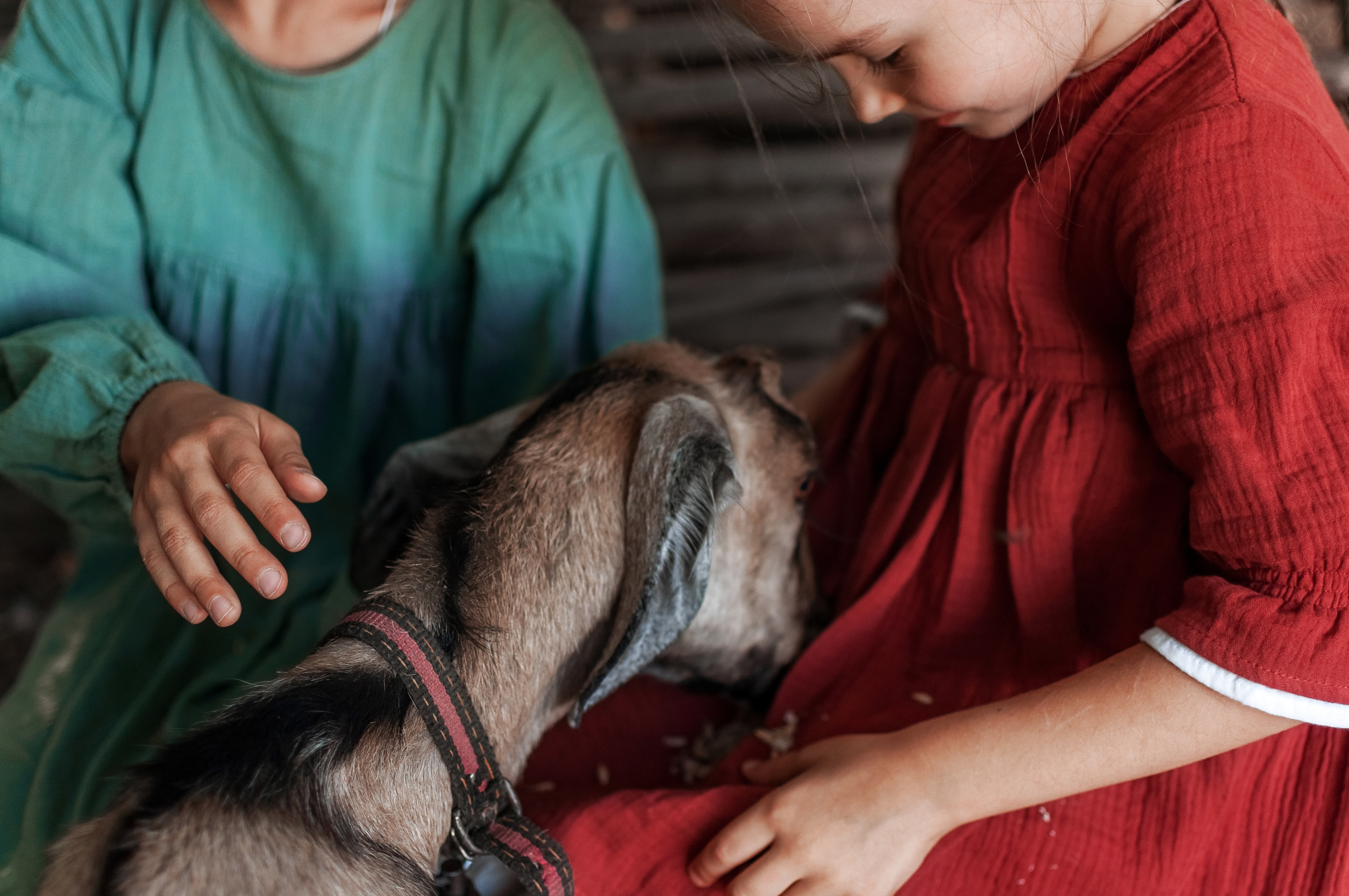Прогулка по Ранчо. Семейный, детский фотограф в Воронеже Анна Никитина