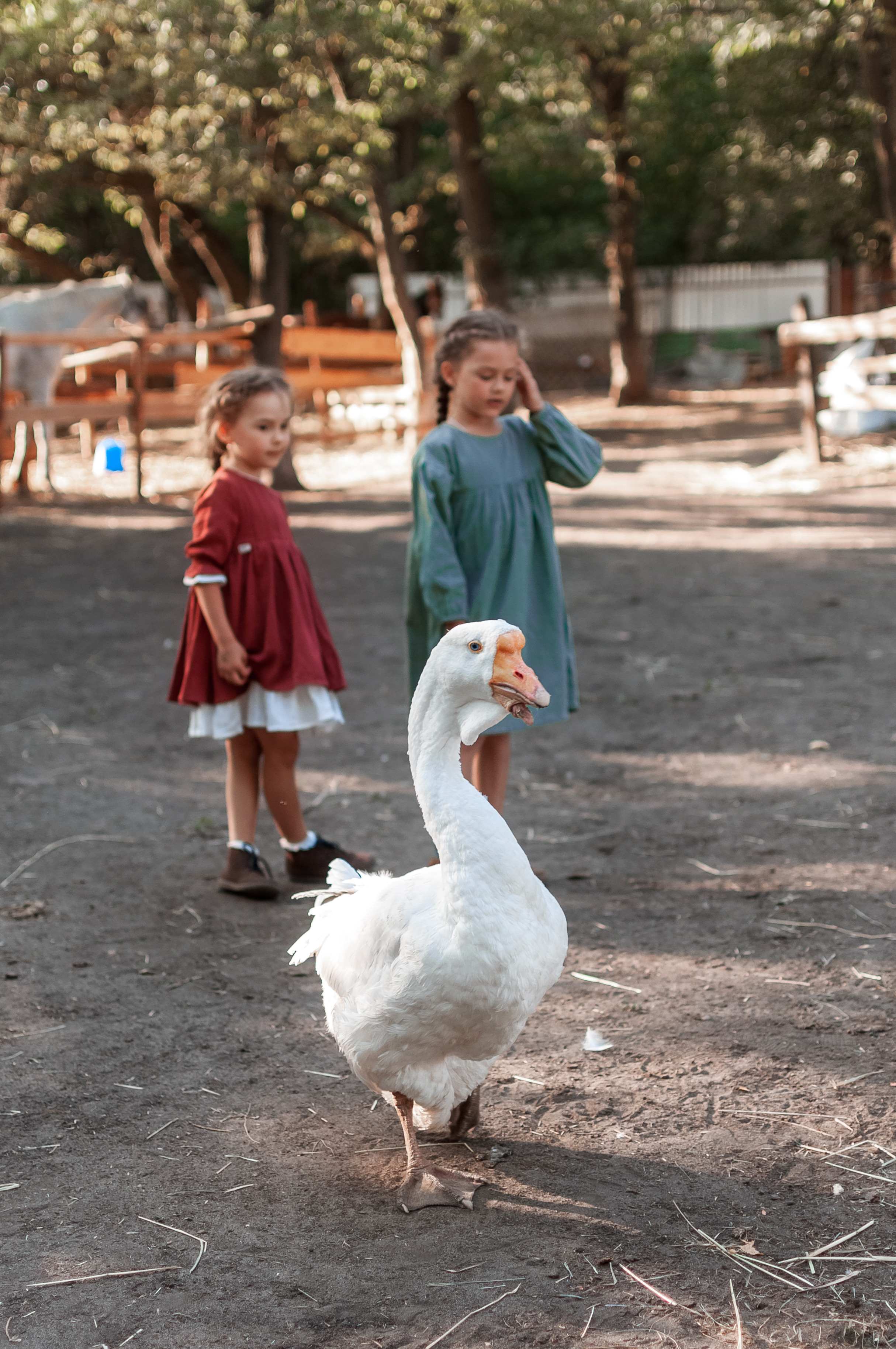 Прогулка по Ранчо. Семейный, детский фотограф в Воронеже Анна Никитина
