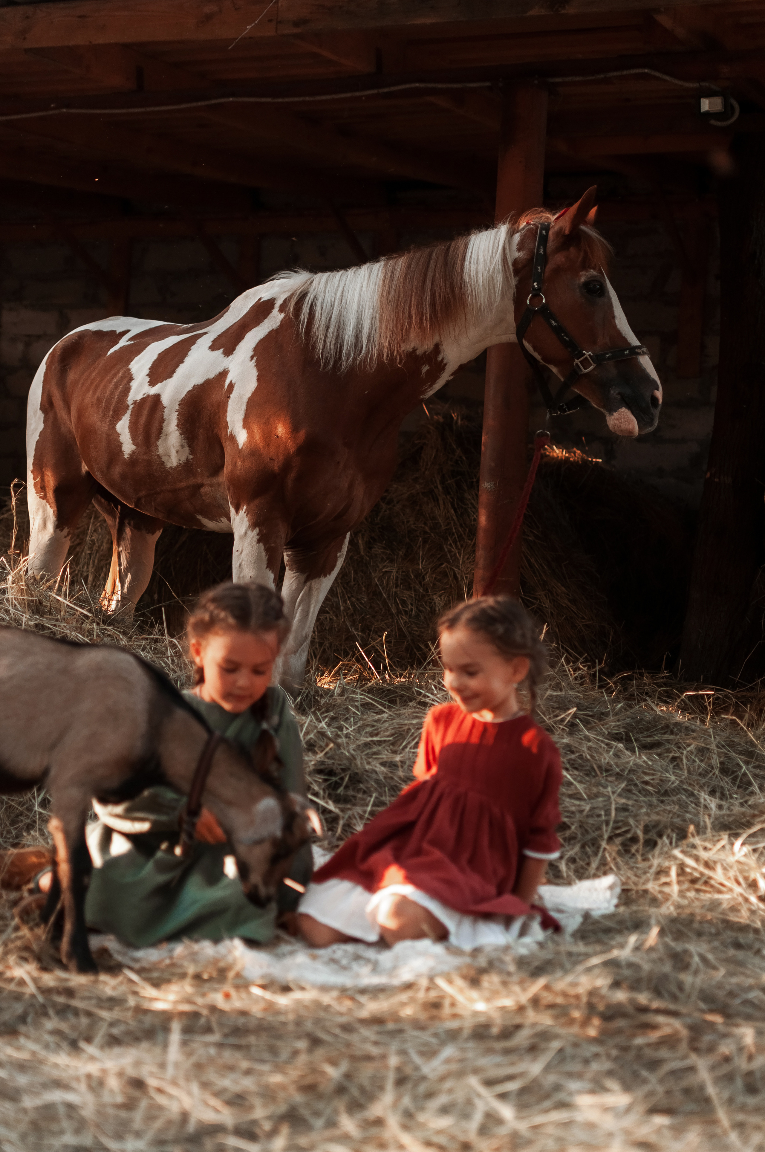 Прогулка по Ранчо. Семейный, детский фотограф в Воронеже Анна Никитина