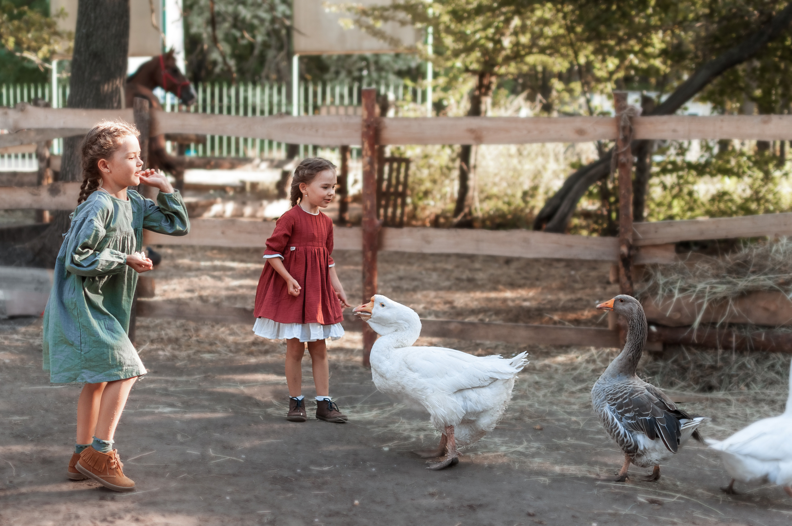 Прогулка по Ранчо. Семейный, детский фотограф в Воронеже Анна Никитина