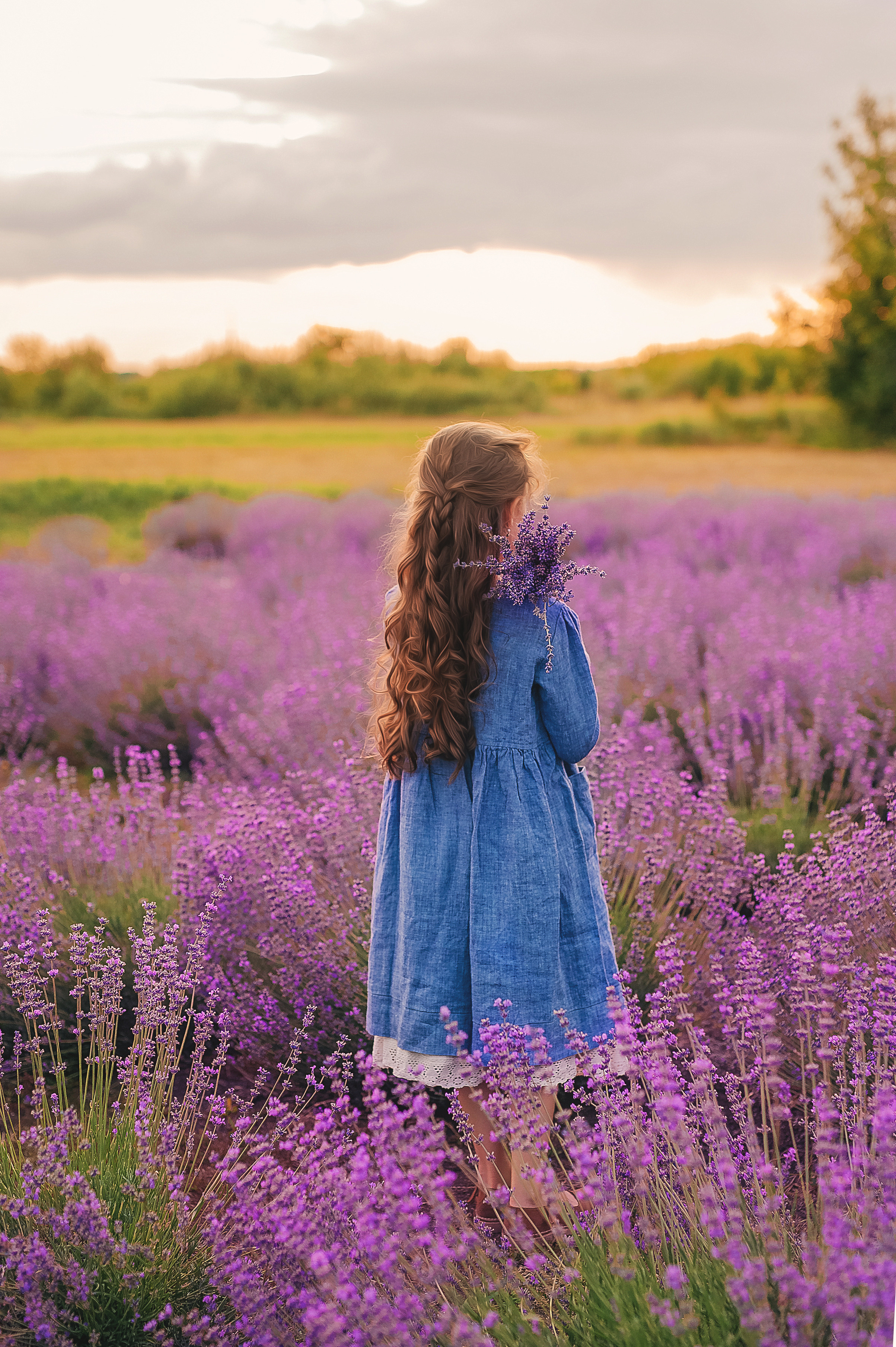 Лаванда. Семейный, детский фотограф в Воронеже Анна Никитина