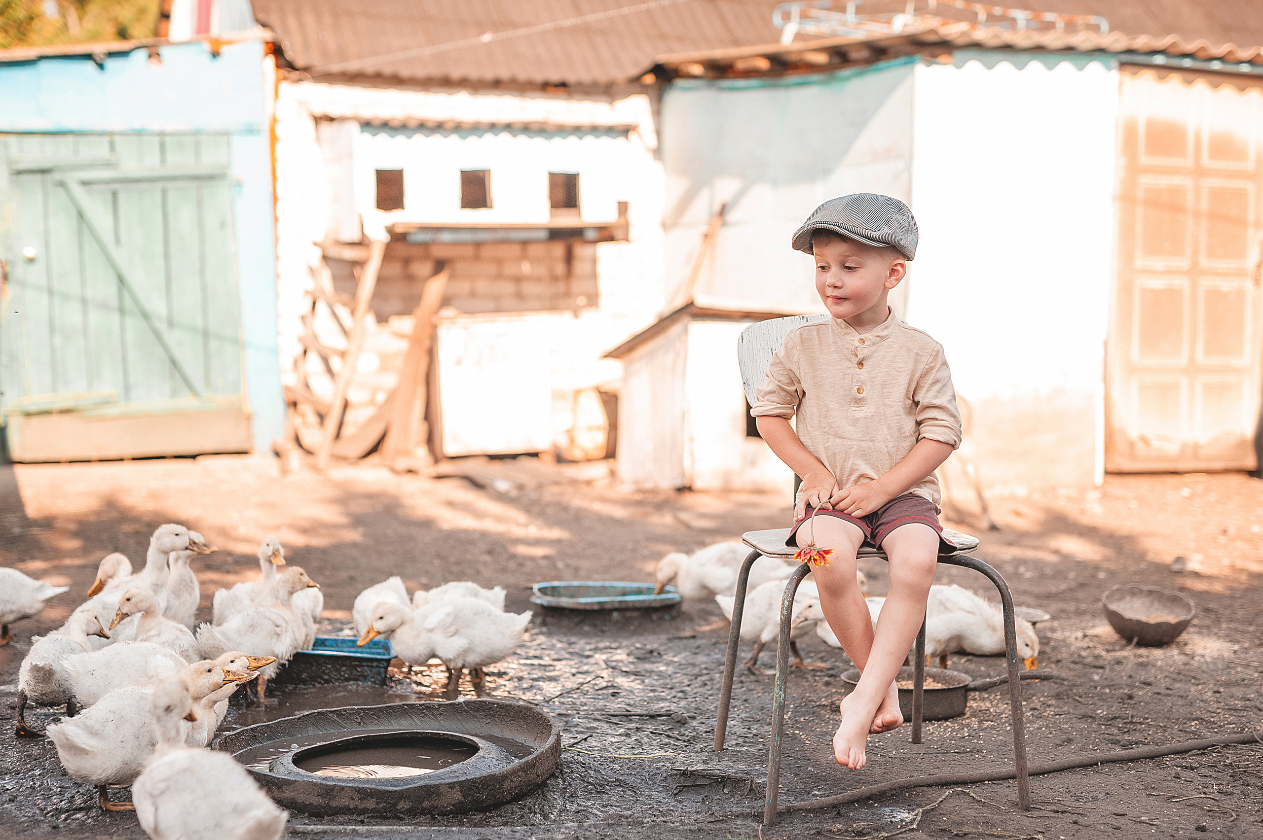 Птичий двор. Семейный, детский фотограф в Воронеже Анна Никитина