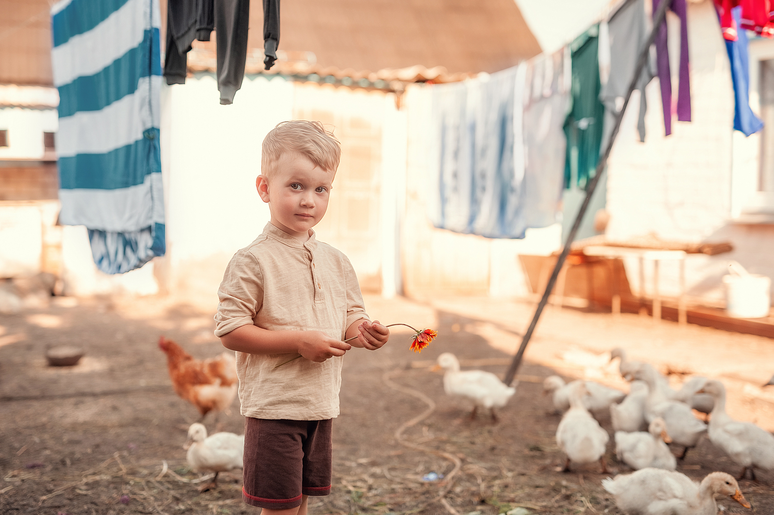 Птичий двор. Семейный, детский фотограф в Воронеже Анна Никитина